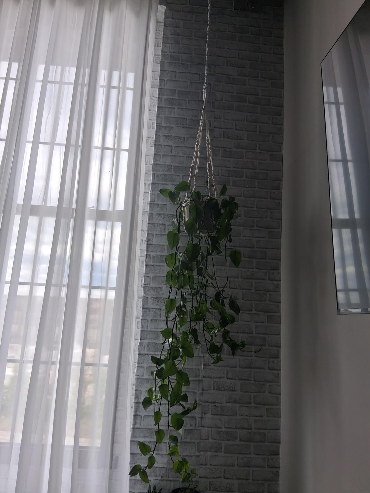 LEWESU Macrame Plant Hanger Indoor Set of 2 with 4 Hooks, Indoor Outdoor Hanging Planter for Plants Holder with Decorative Wood Beads & No Tassels, Boho Home Decor, 35 Inch Ivory (Pots Not Included) customer photo 1