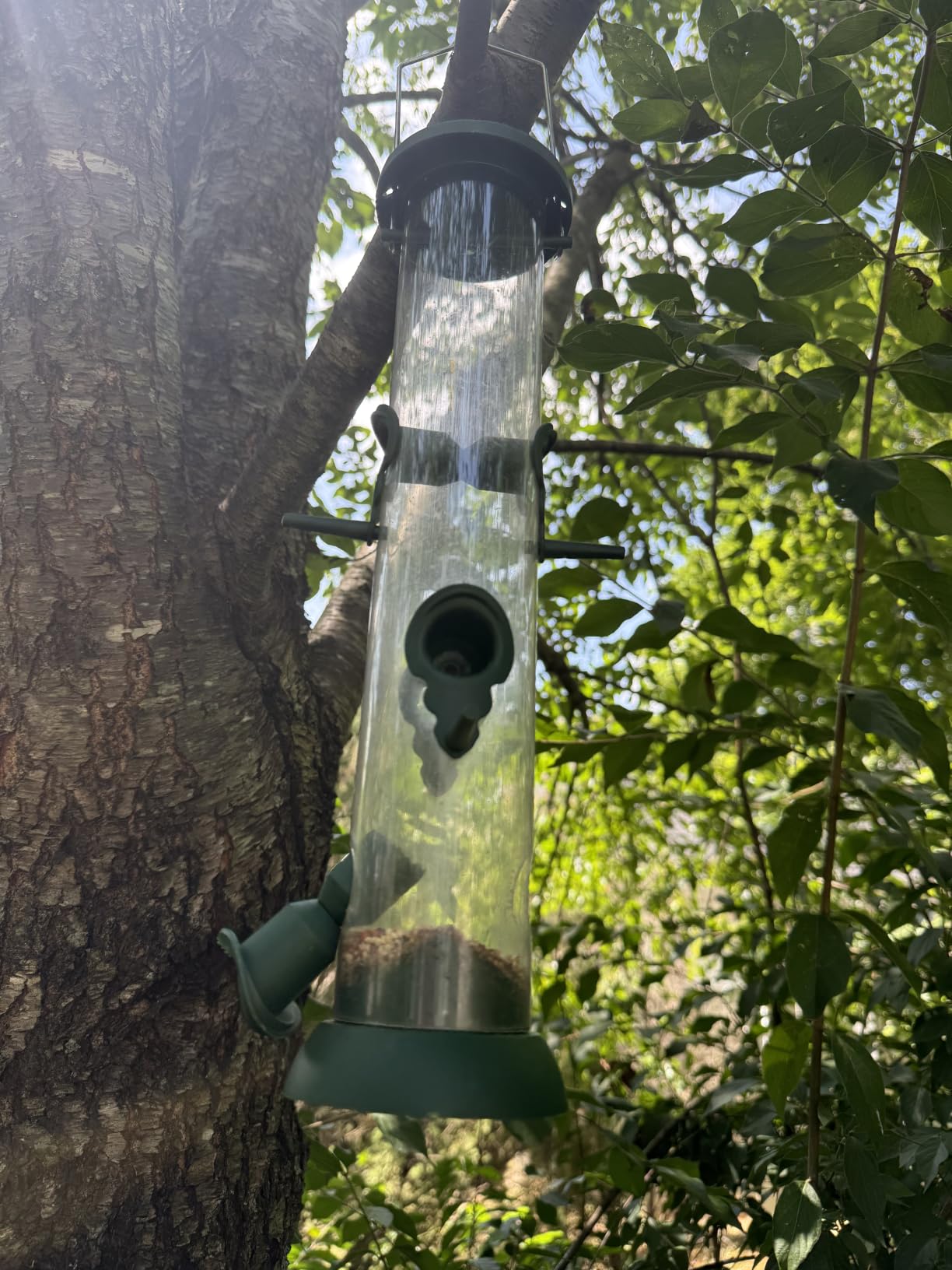 FEED GARDEN Metal Bird Feeder - 6 Port Tube Feeder for Outdoors with Metal Lid, Easy Fill & Clean, Weather Resistant, 13 Inch customer photo 2