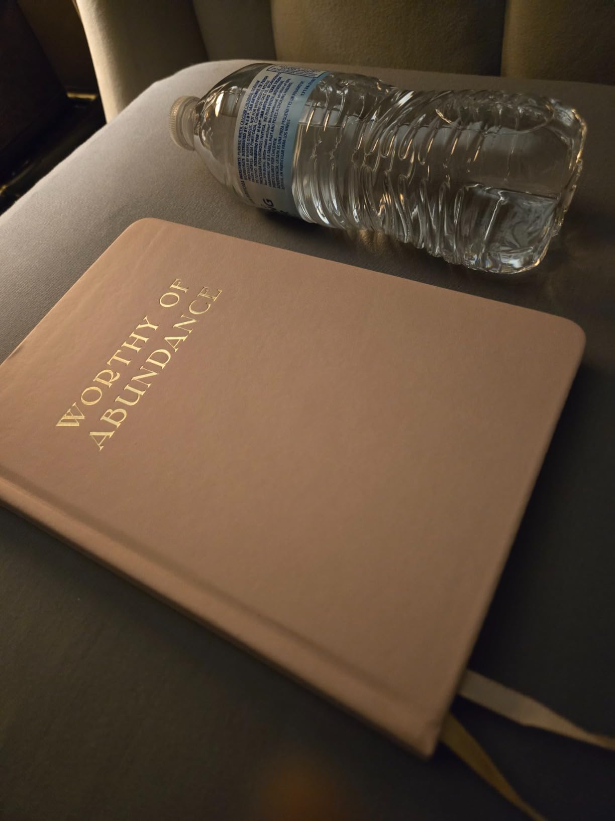 Manifestation Journal - Worthy of Abundance - Manifest Rich Life, Develop Millionaire Money Mindset - Daily Guided Gratitude Luxury Miracle Planner with Prompts for Women & Men Gift customer photo 1