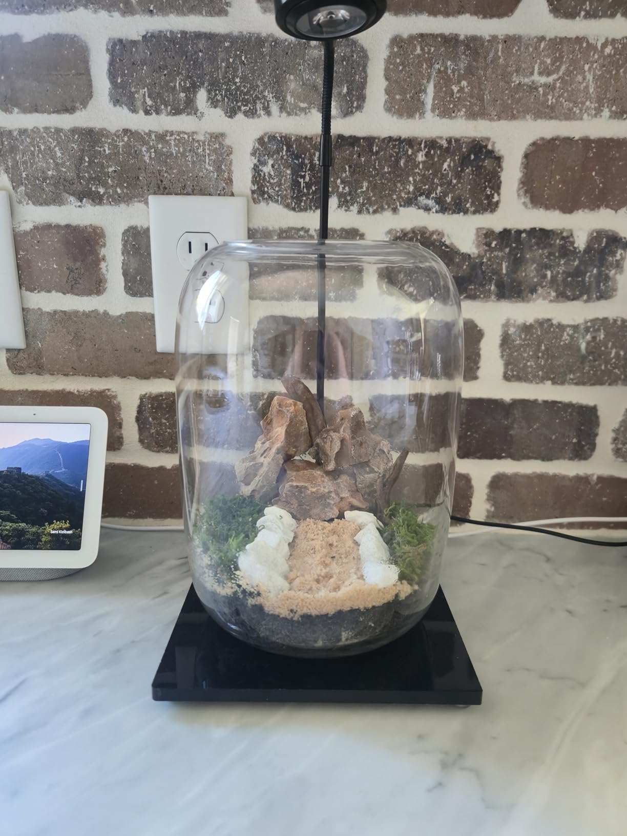 Premium Terrarium Kit with Live Moss, 24-Piece Glass Set | Complete DIY Kit, Grow Light, Beginner Friendly, Natural Live Moss, Indoor Nature Decor, Gift Ready customer photo 2
