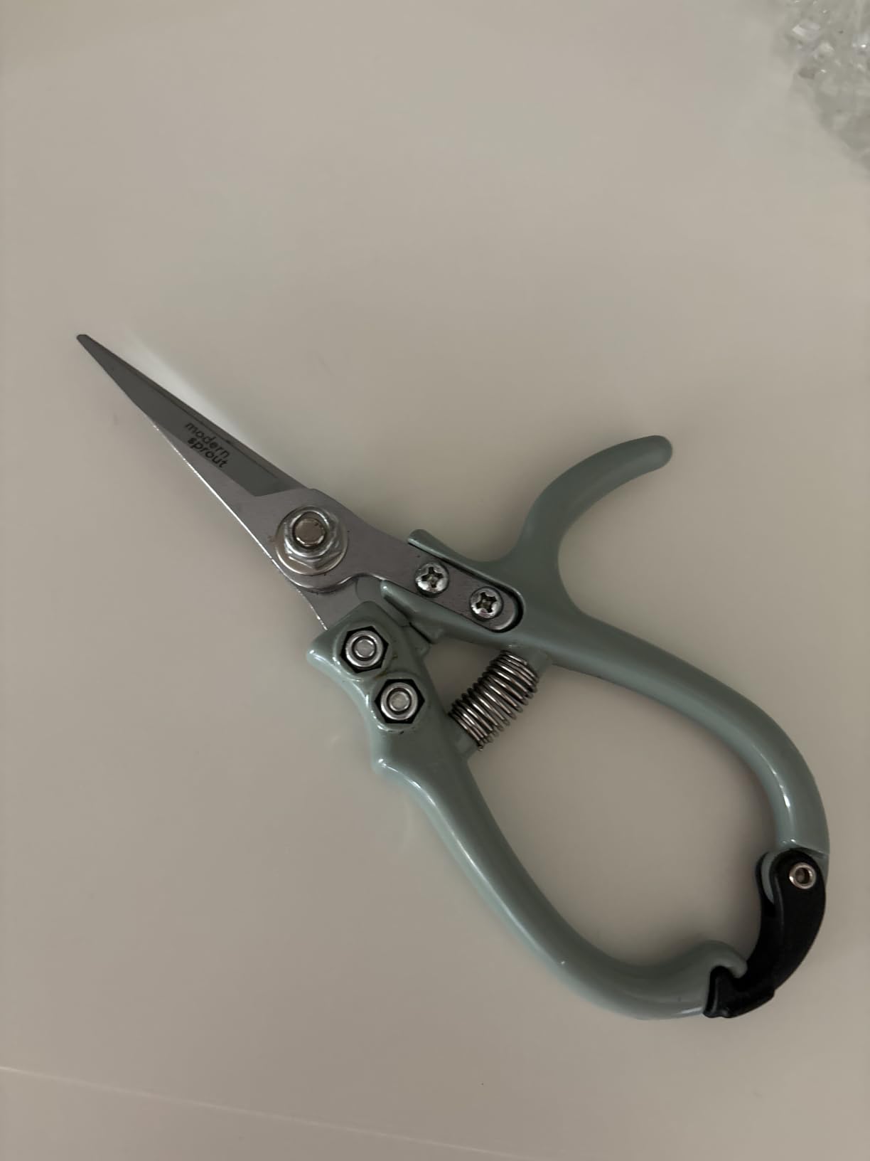 Modern Sprout Pruning Shears - Herb Snipping Scissors- Lightweight Gardening Tools W/Easy Lock - Flower Cutter Garden Shears - Carbon Steel Blade + Reusable Holster (Sage, 1-Pack) customer photo 1