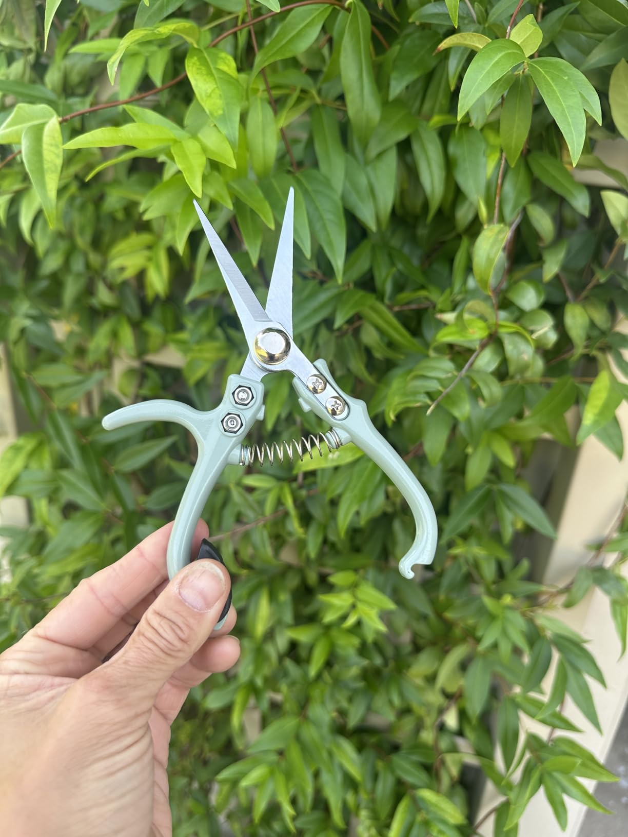 Modern Sprout Pruning Shears - Herb Snipping Scissors- Lightweight Gardening Tools W/Easy Lock - Flower Cutter Garden Shears - Carbon Steel Blade + Reusable Holster (Sage, 1-Pack) customer photo 2