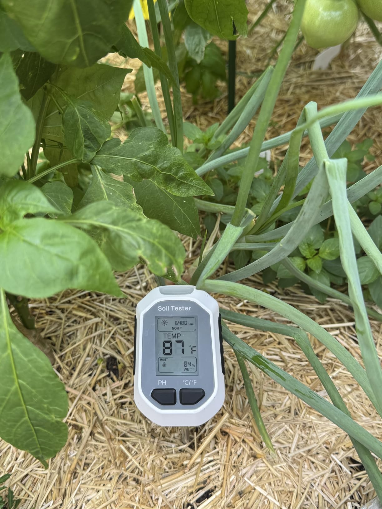 YAMRON 4-in-1 Soil Moisture Meter Digital Plant Temperature/Soil Moisture/pH Meter/Sunlight Intensity Backlight LCD Display Soil Test Meter for Gardening, Farming and Outdoor Plants customer photo 2