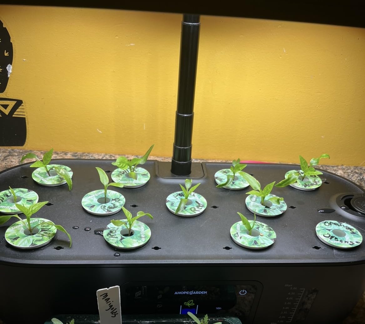 Hydroponics Growing System Kit: 12 Pods with LCD Control Panel | Indoor Herb Garden with Grow Light, Planting Height Up to 17