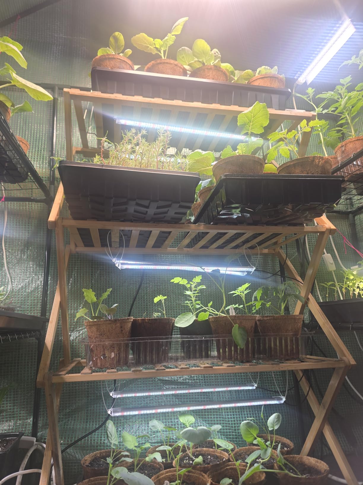 SDOVUERC 16'' 6 Bars Grow Light Strips for Indoor Plants with Auto ON/Off Timer 6/12/18H, 5 Dimmable Levels for Shelves Plant Growing(Pack 1) customer photo 1