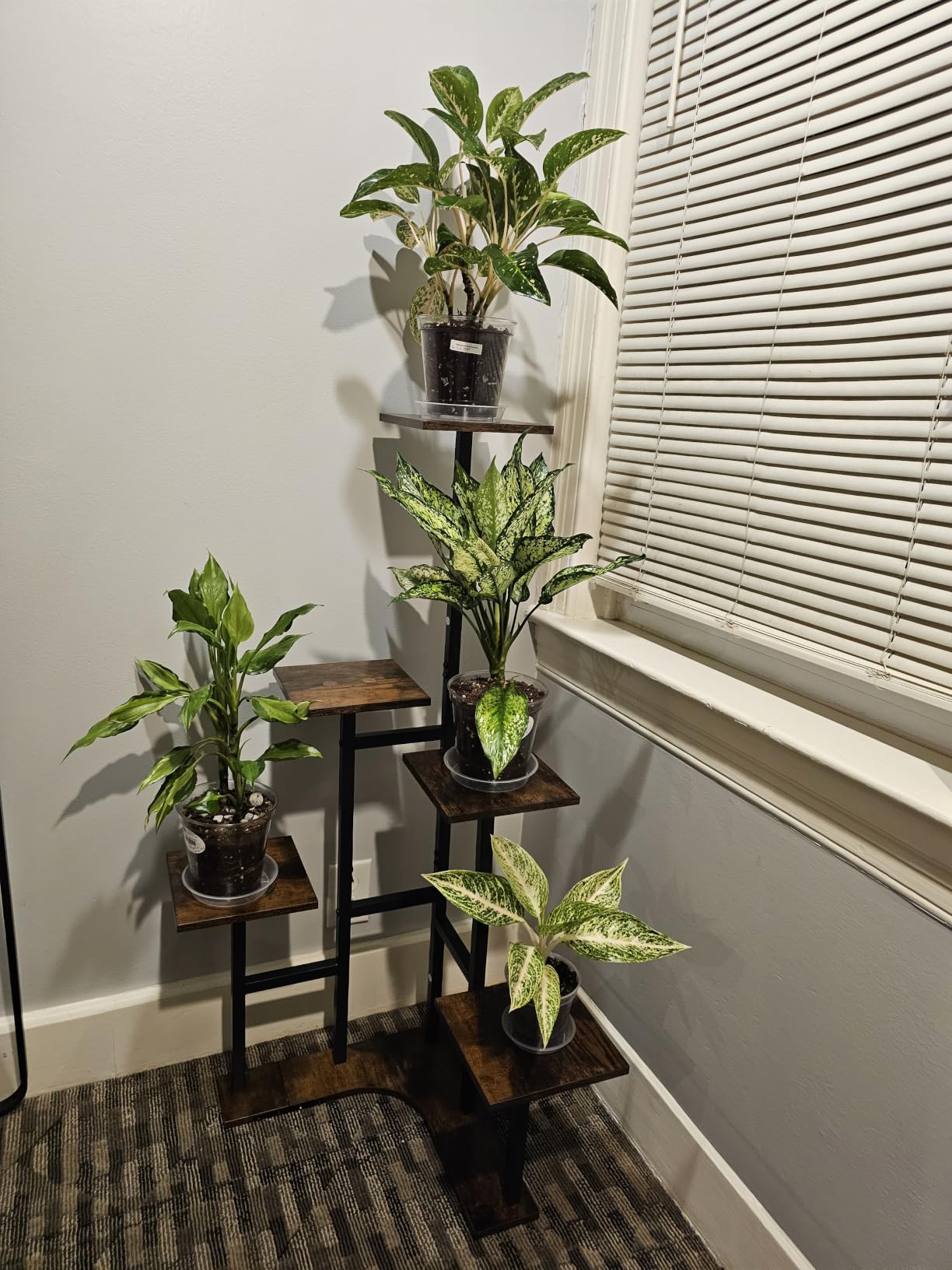 Yzosvki Corner Plant Stand Indoor, 6 Tiered Corner Plant Shelf Flower Stand for Multiple Plants, Plant Shelves Organizer Rack for Living Room, Balcony, Patio, Garden, Square Rustic Brown customer photo 1