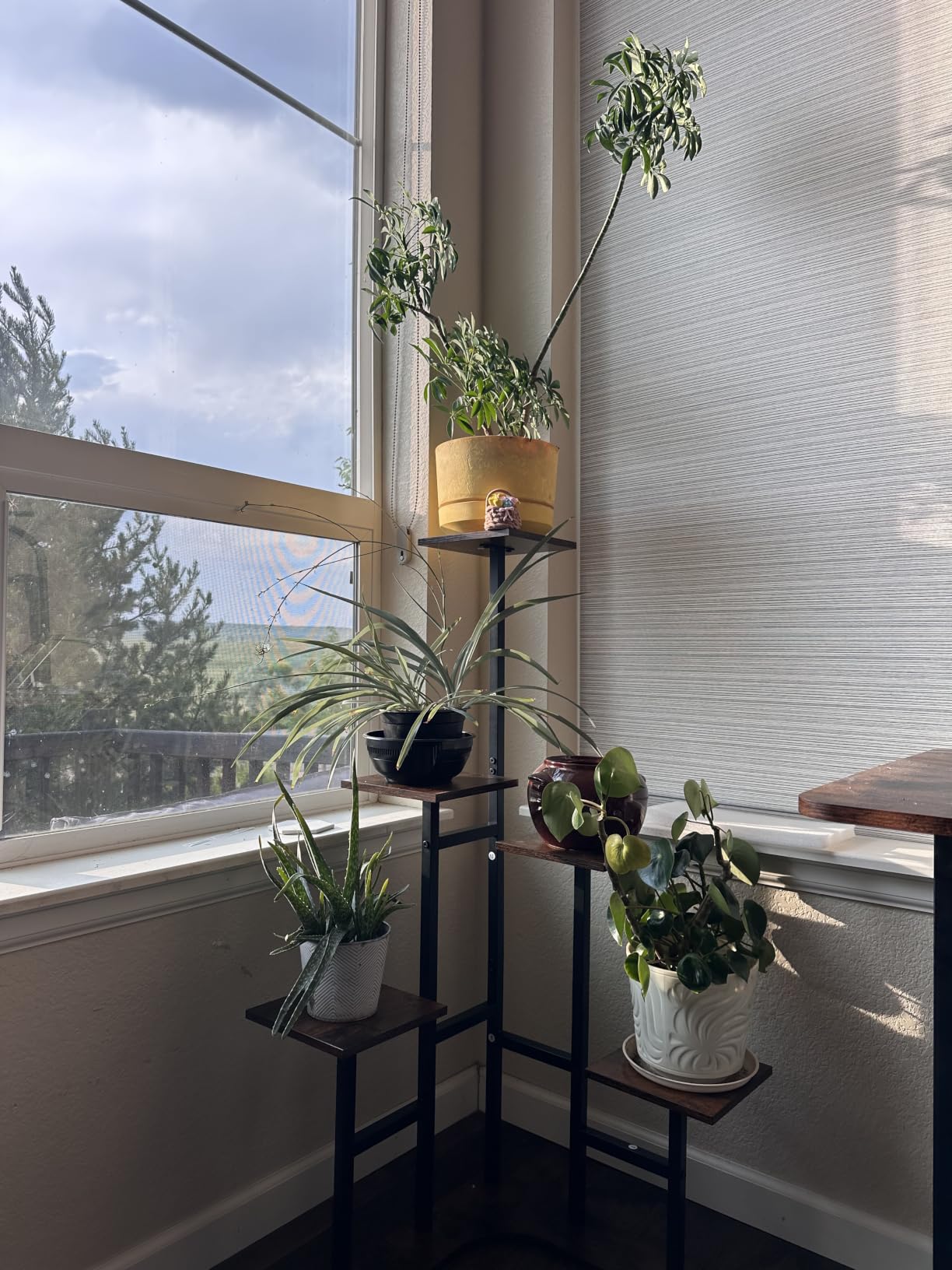 Yzosvki Corner Plant Stand Indoor, 6 Tiered Corner Plant Shelf Flower Stand for Multiple Plants, Plant Shelves Organizer Rack for Living Room, Balcony, Patio, Garden, Square Rustic Brown customer photo 2