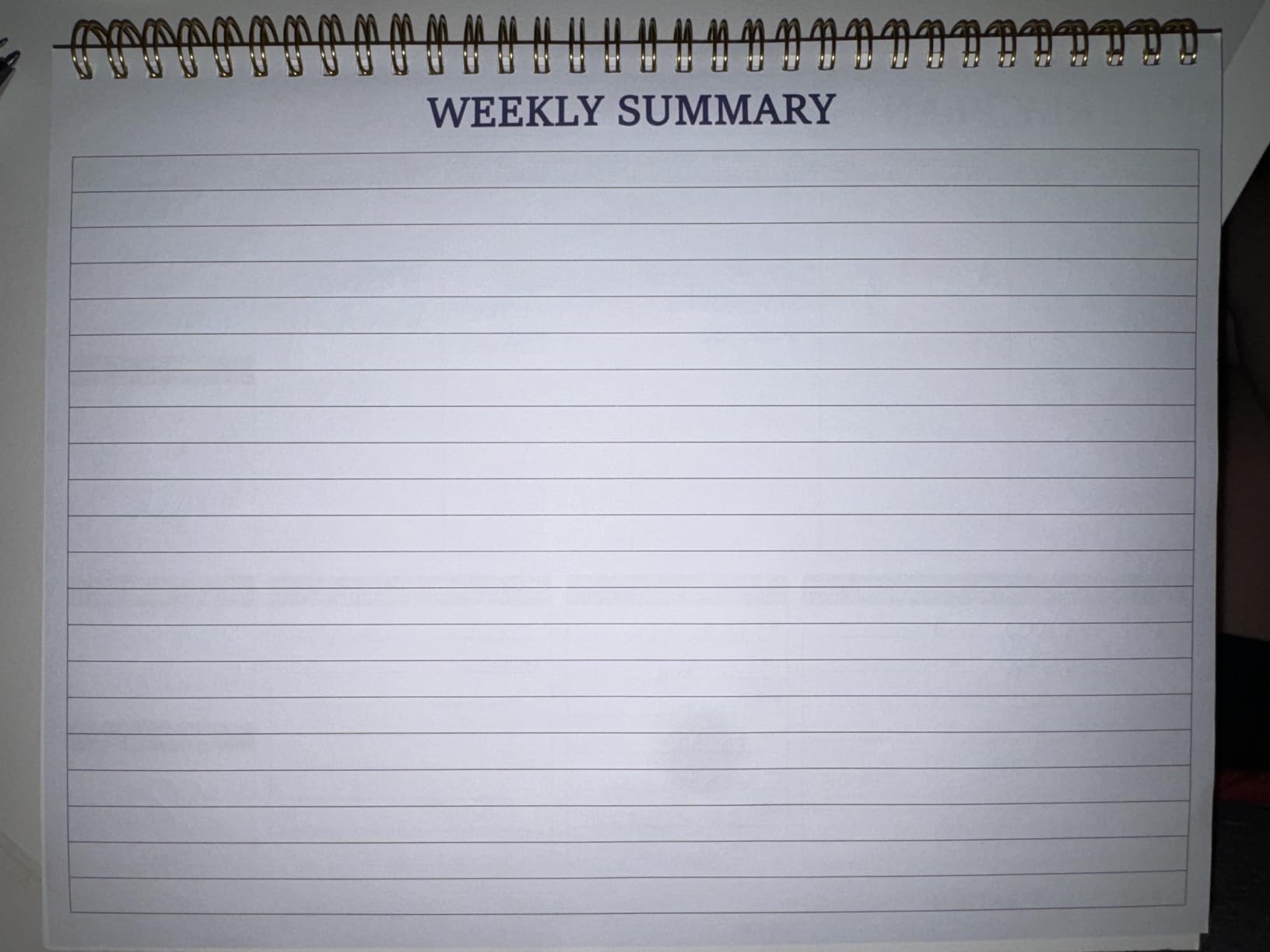 (2-Pack) Large Weekly Planner - 17