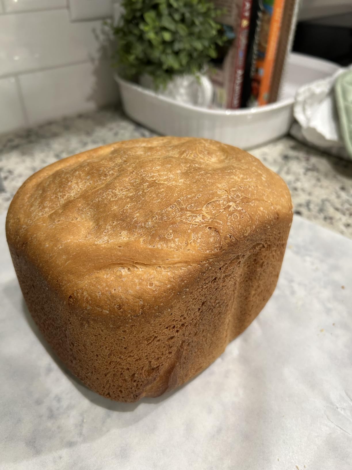 OSIPOTO 2LB Bread Maker, 17 in 1 Automatic Stainless Steel Bread Machine customer photo 1