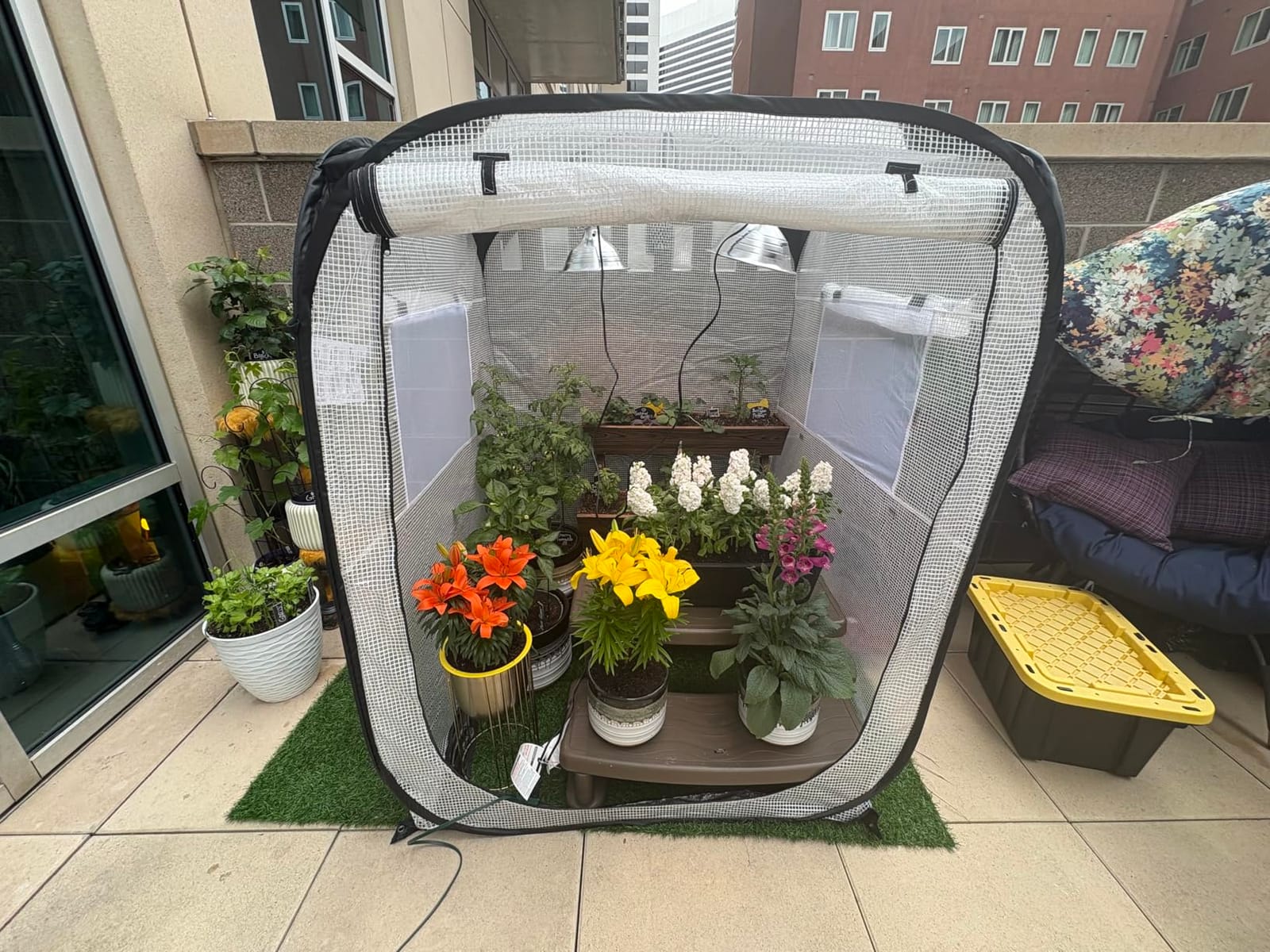 Ohuhu Pop Up Greenhouse for Outdoors, Portable Walk-in Mini Green House with Removable PE Mat & Mesh Window Fast Set-up GreenHouses for Indoor Outside Protecting Plant from Cold Frost & Birds customer photo 1