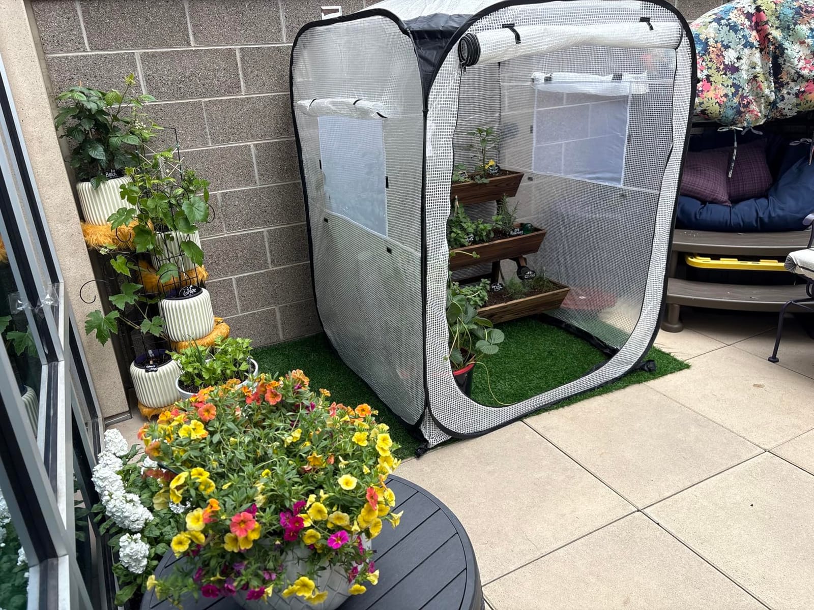 Ohuhu Pop Up Greenhouse for Outdoors, Portable Walk-in Mini Green House with Removable PE Mat & Mesh Window Fast Set-up GreenHouses for Indoor Outside Protecting Plant from Cold Frost & Birds customer photo 2