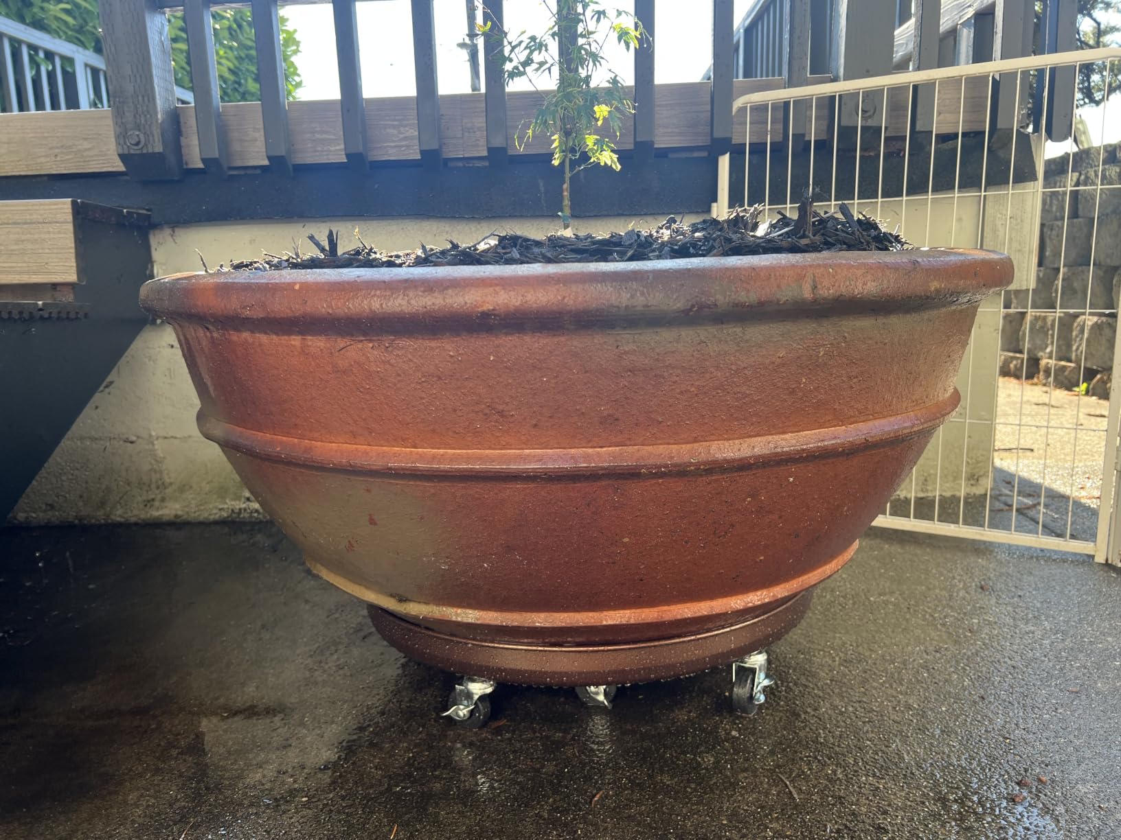 Plant Caddy With Wheels 12