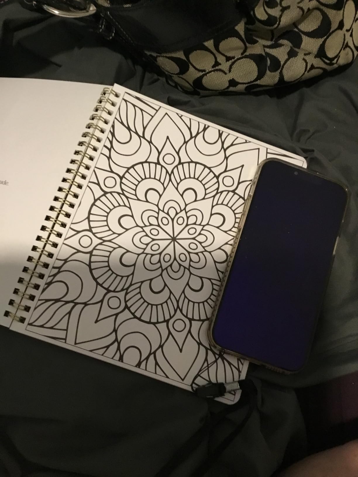 Beautiful Adult Coloring Book Set of 2 for Relaxation - Mandala Coloring Books with Inspirational Quotes Making it a Great Gift - Perfect Stress-Relieving Books Fun to Color for Women customer photo 1