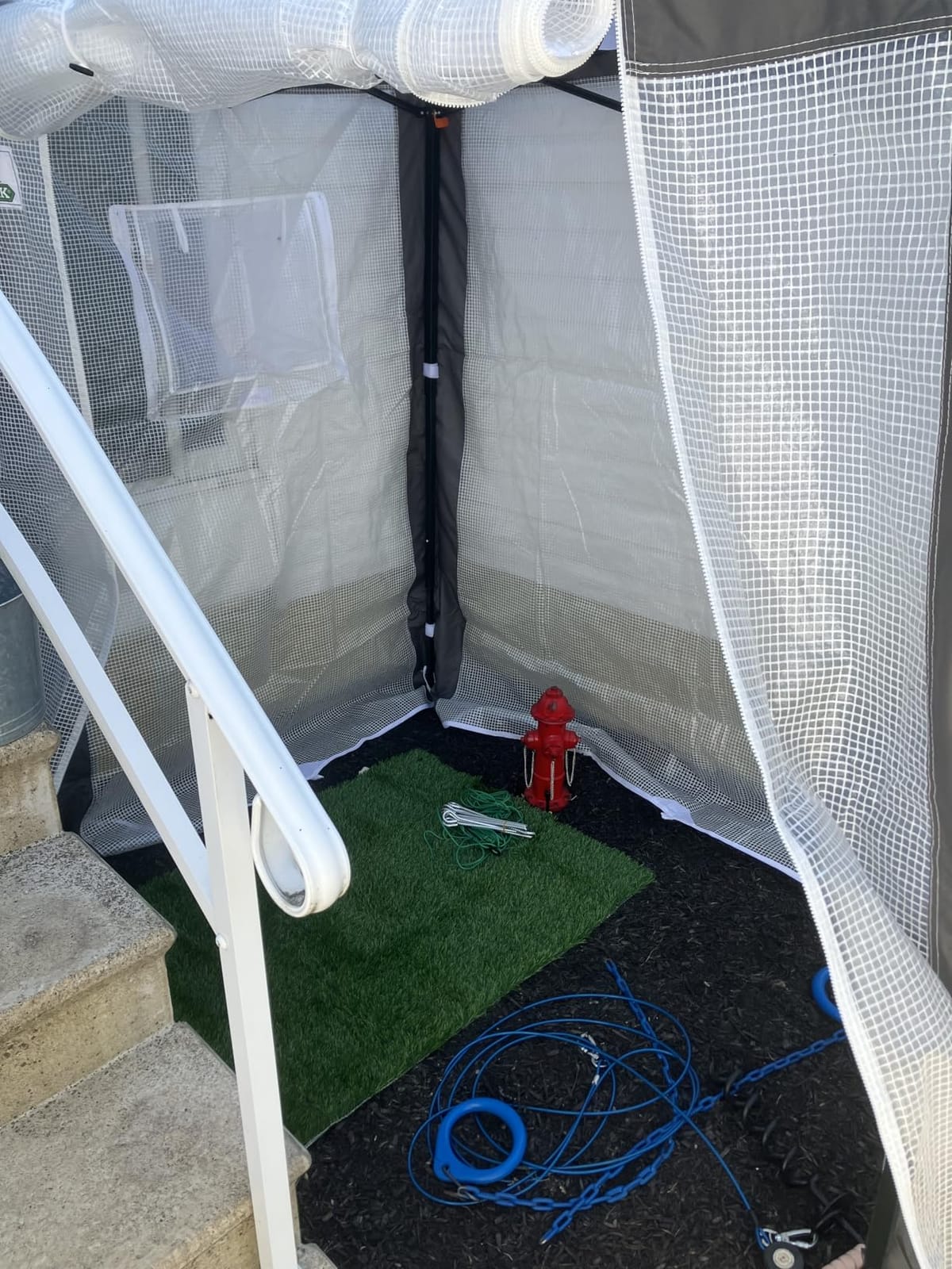 EAGLE PEAK 6x4 Walk in Pop Up Greenhouse, Gray/White | Reinforced Corners, Pop Up Greenhouse for Winter, One Person Easy Setup PeakPush Center Lock, Zippered Doors & Mesh Windows customer photo 1