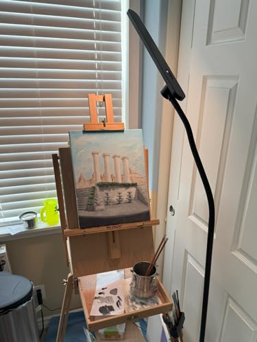 Honeywell LED Floor Lamp for Reading, CRI97 Full Spectrum Gooseneck Floor Lamp, Eye-Caring Dimmable Standing Task Light, 3 Color Temperatures, 77.5
