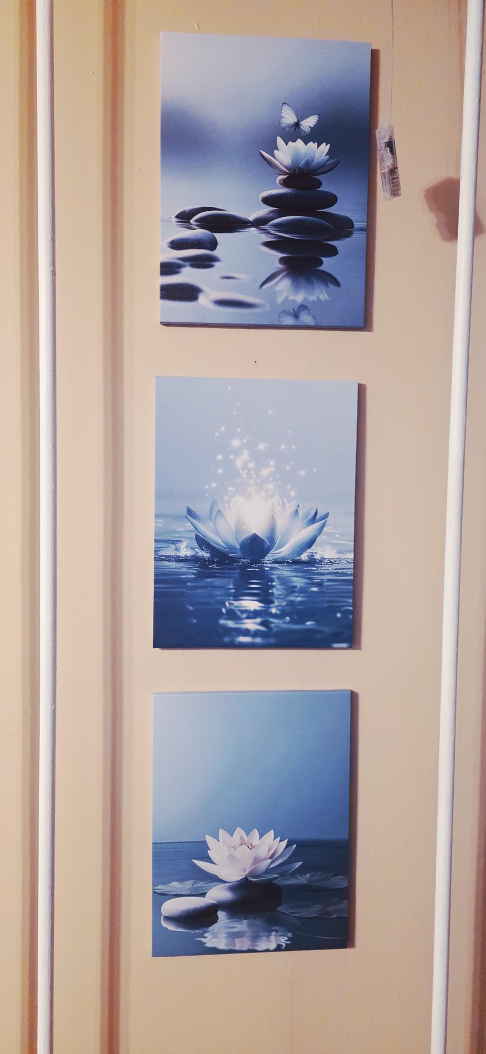 GELDSTEI Calm Zen Botanical Canvas Wall Art, White Lotus Blooming on Stones in Water Aesthetic Pictures, Yoga Spa Meditation Room Decor, Modern Spiritual Poster Prints for Zen Office Framed Set of 3, Each 12x16 Inch customer photo 1