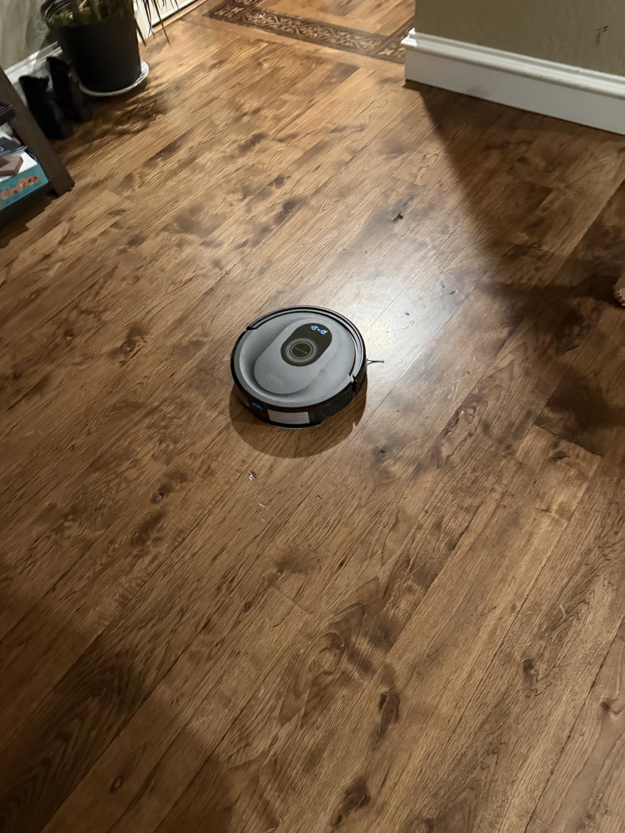 Tikom Robot Vacuum and Mop Combo, 5000Pa Robotic Vacuum Cleaner, 150 Min Max, App & Remote Control, Ideal for Hard Floor, Carpet, Pet Hair, Self-Charge(G8000 Max) customer photo 1