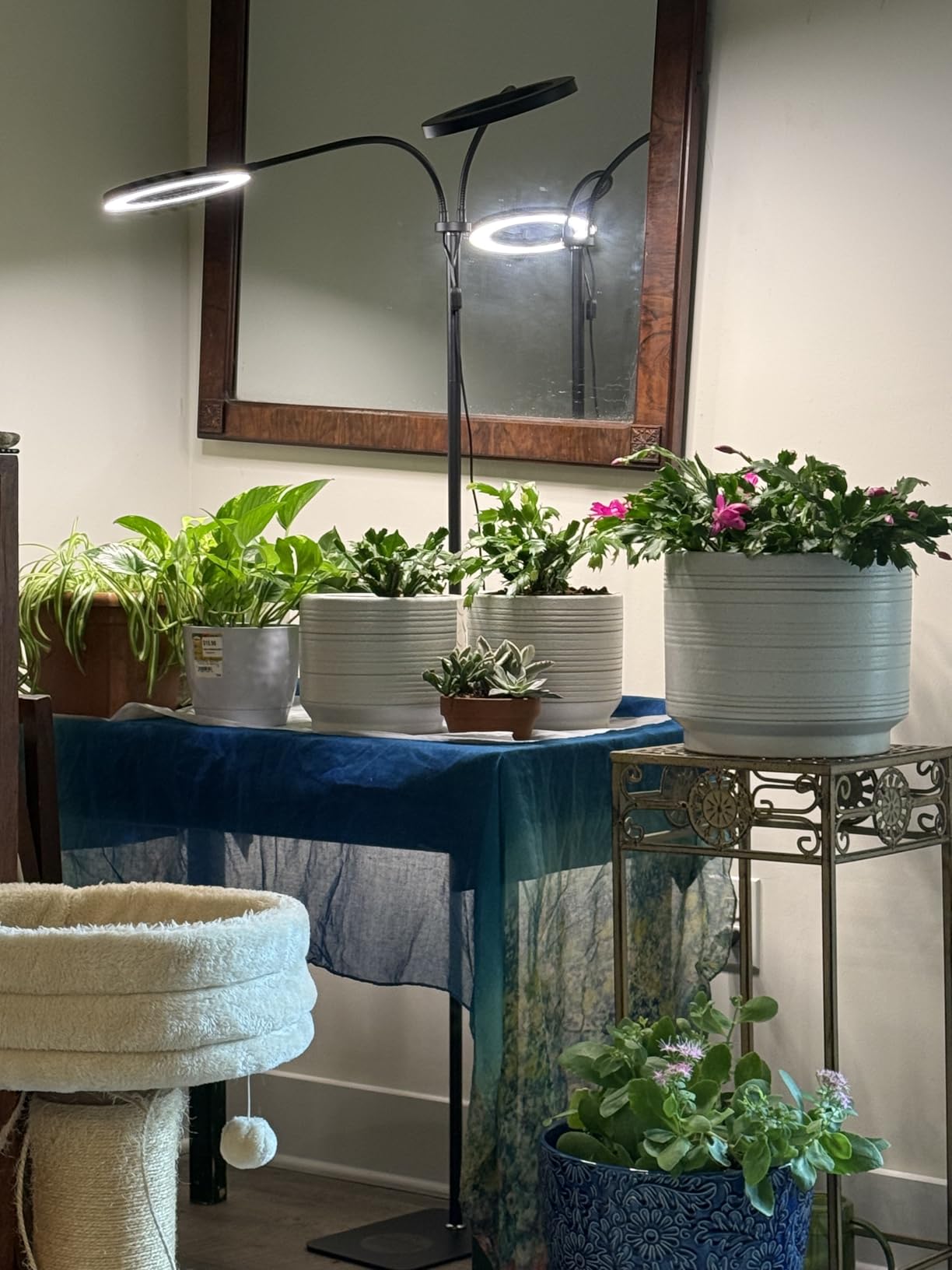 48W Grow Lights for Indoor Plants, Full Spectrum LED Plant Light with Stand | Dimmable, 3 Lighting Modes, 23