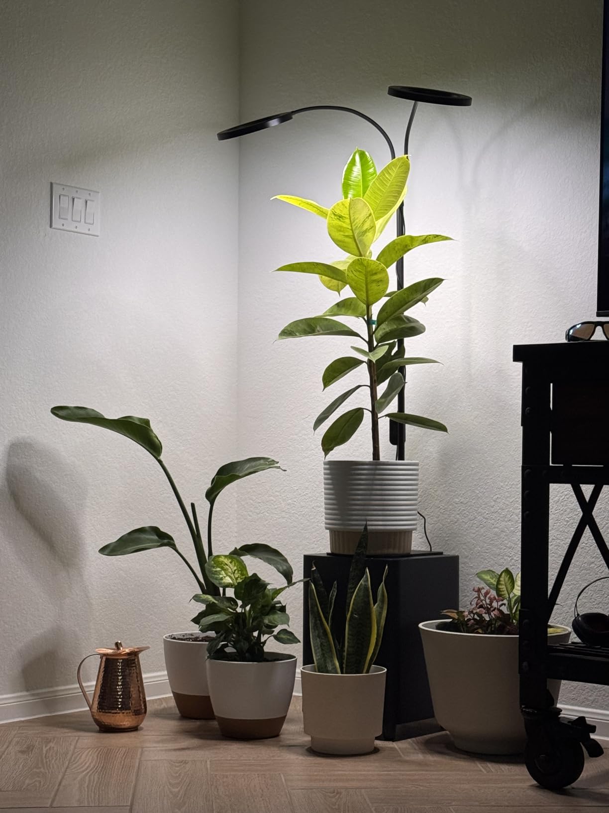 48W Grow Lights for Indoor Plants, Full Spectrum LED Plant Light with Stand | Dimmable, 3 Lighting Modes, 23