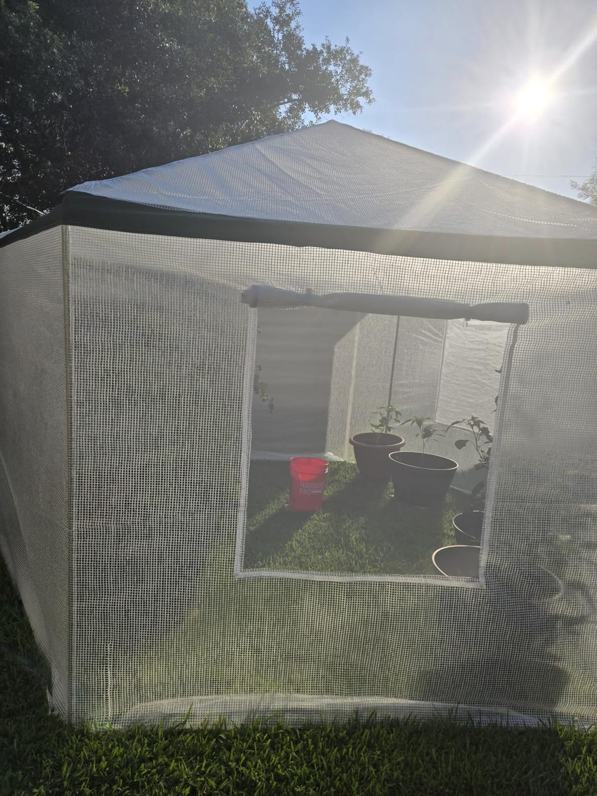 AMERLIFE 13.5x13.5x9 FT Hexagonal Walk-in Greenhouse | Windbreak ropes, ground stakes and waterproof PE cover help create a stable protected space for outdoor plants customer photo 1