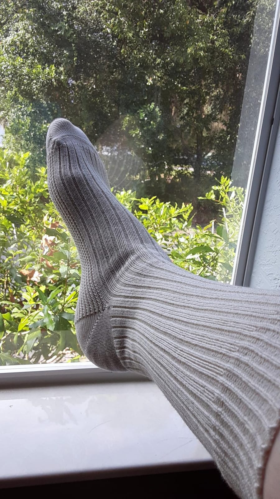 Buluşorganic 98% Organic Cotton Crew Socks, 3 Pairs for Men and Women, GOTS Certified, Non-Binding, Seamless Toe, Breathable customer photo 1
