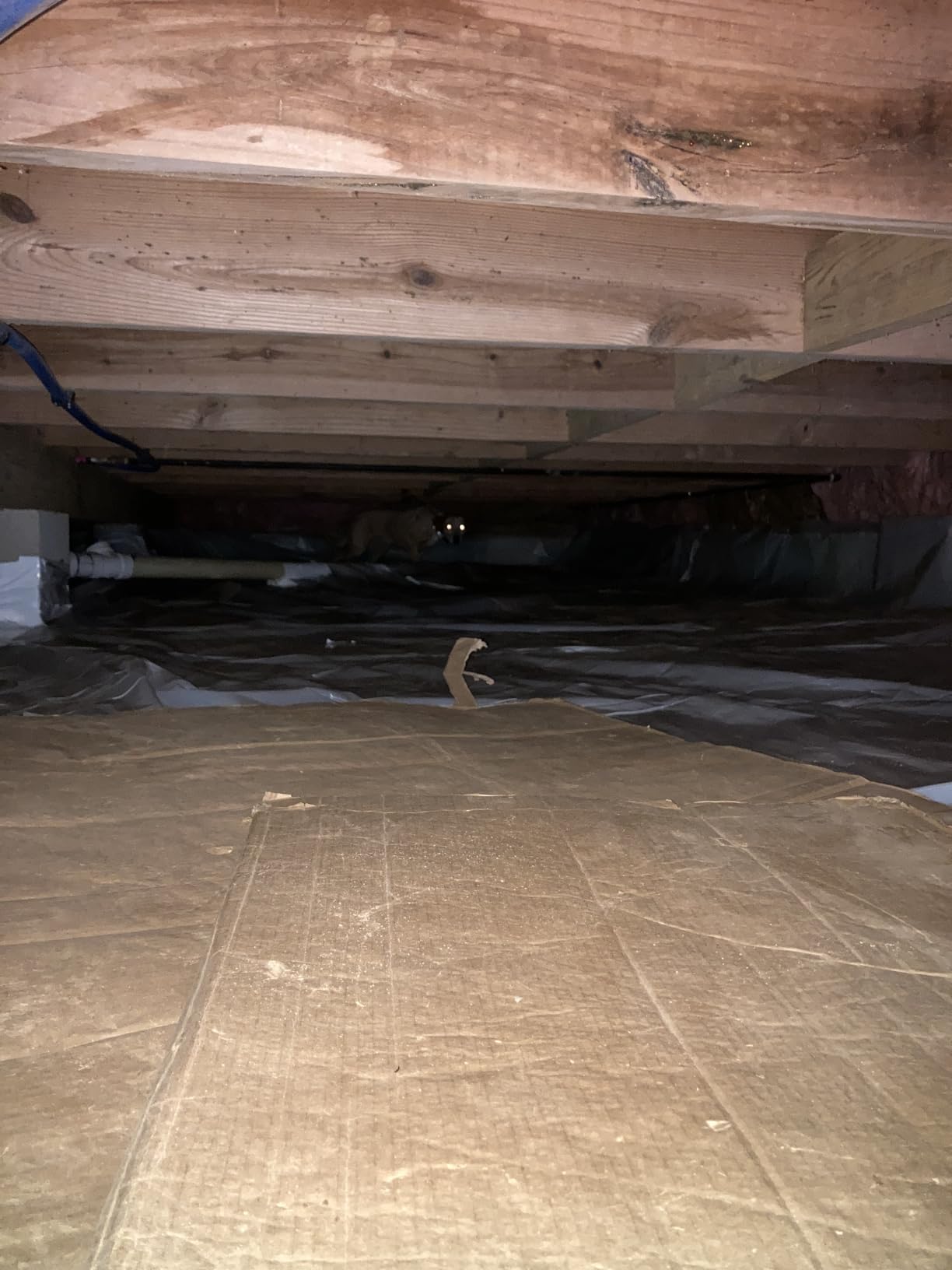 Yaufey 70 Pints Energy Star Commercial Dehumidifier with Drain Hose for 5000 Sq. Ft. Crawl Space, Basement, Industrial, 10-90% RH Humidity Control, 24/7 Continuous Drainage,TUV Certified,5-Yr Coverage customer photo 1