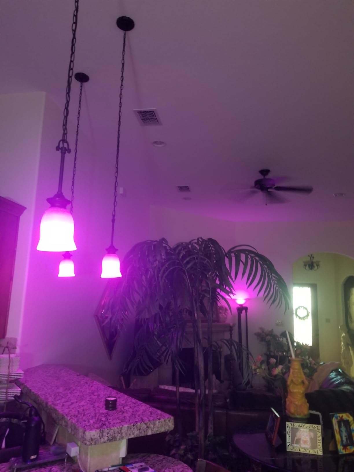 Philips Hue Essential Smart LED A19 Bulb 4-Pack, White and Color Ambiance, E26, 7.2W, 2200K-6500K, 800 Lumens, Dimmable LED Bulbs, Works with Alexa, Google Assistant, Apple Home customer photo 1