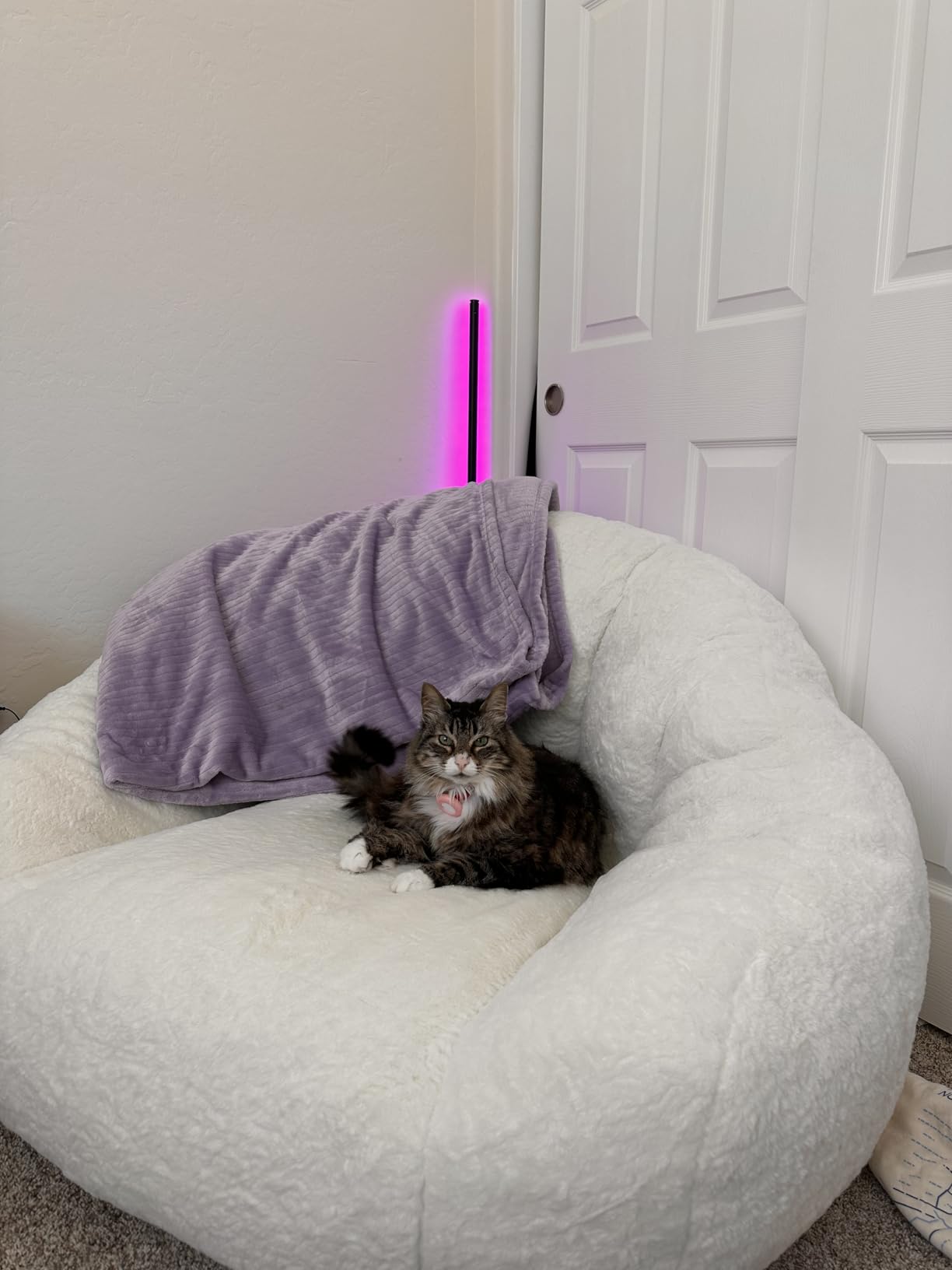 HUGHEAVEN Max Giant Bean Bag Chair, Oversized Bean Bag Sofa for Adults & Teens, Ultra-Soft Comfy Fluffy Floor Lounge Chair with Armrests, Large Bean Bag Couch for Gaming, Reading & Relaxing customer photo 1