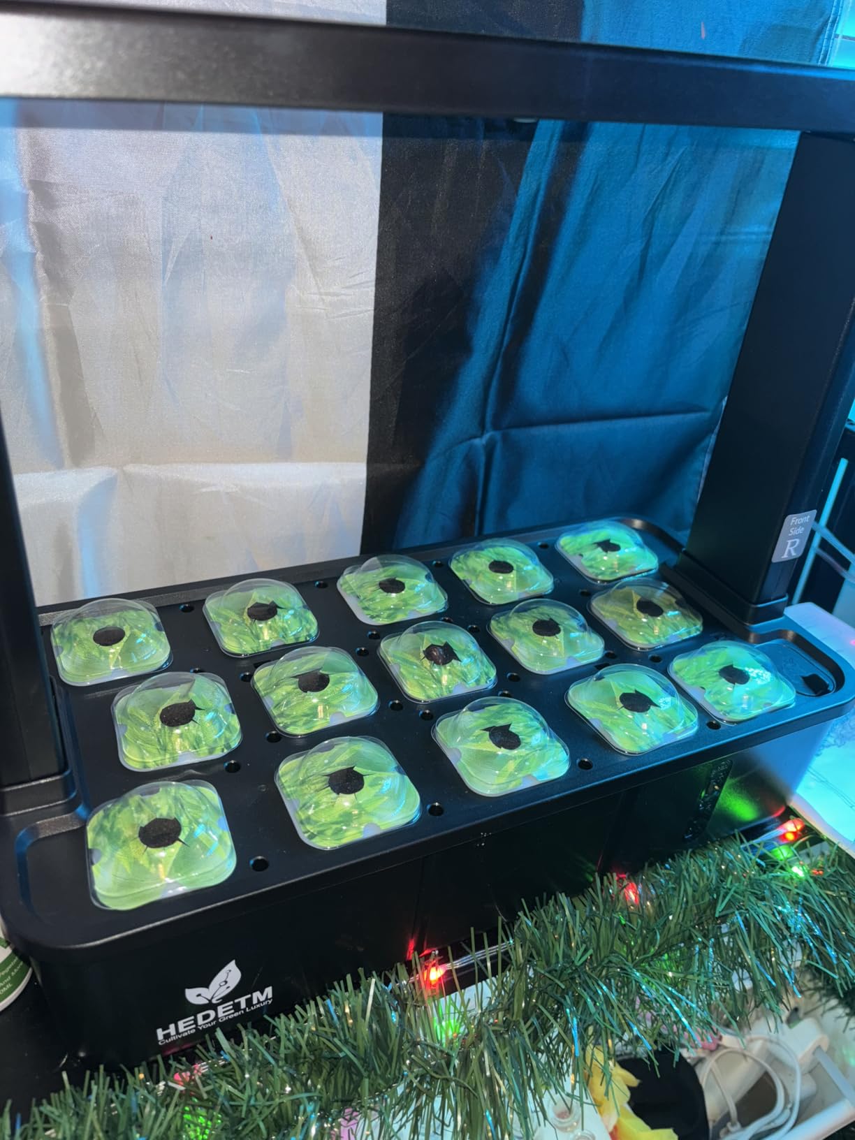 Hopegarden Indoor Garden Hydroponics Growing System: 15 Pods Plant Germination Kit Herb Vegetable Growth Lamp Countertop with LED Grow Light - Hydrophonic Planter Grower Harvest Lettuce customer photo 1