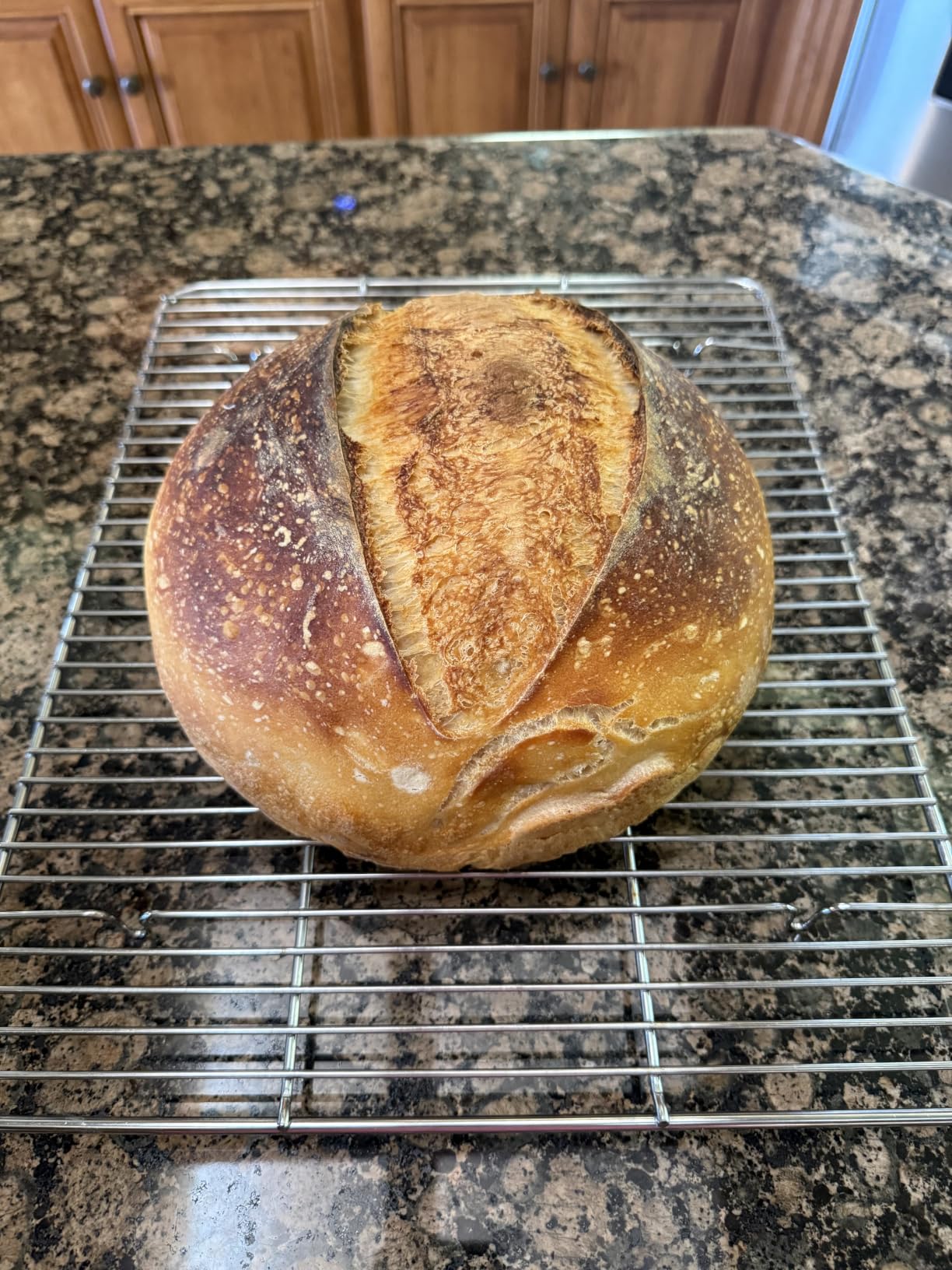 Superbaking Sourdough Starter Kit, 9
