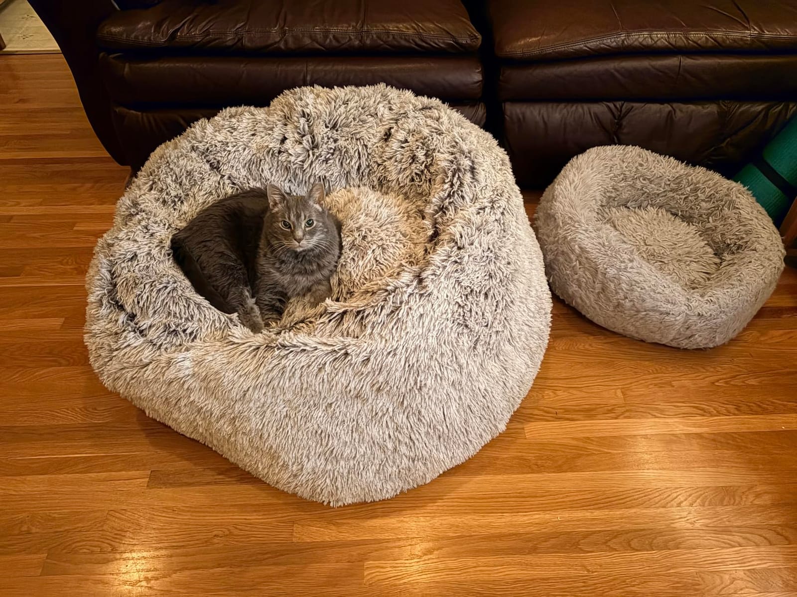 Plush Faux Fur Bean Bag Chairs, Memory Foam Filled Sofa Chair Shape Bean Bag for Adults/Teens/Kids, Ultra-Soft Lazy Sofa for Living Room Bedroom College Dorm, Grey customer photo 2