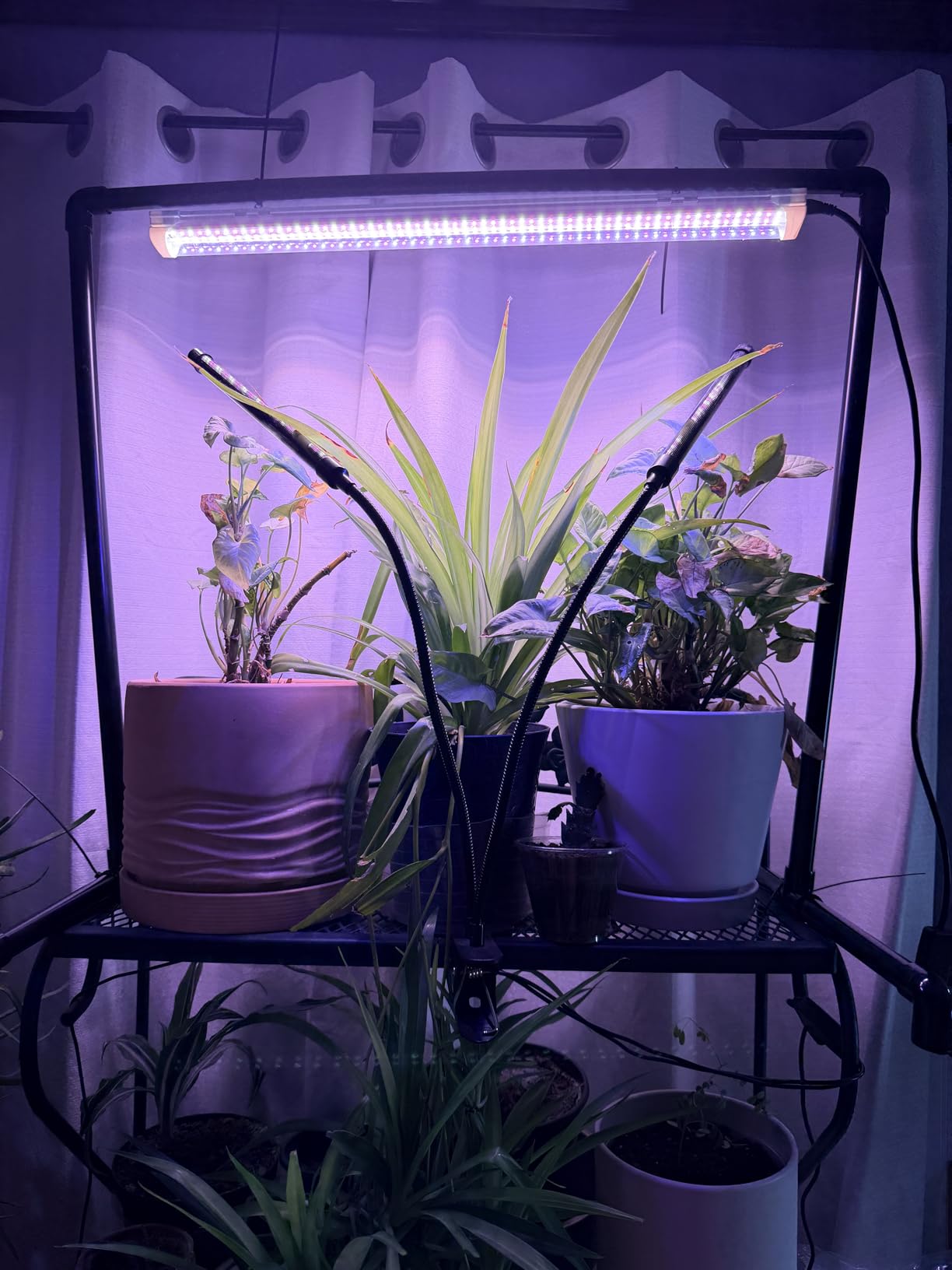 1.3ft Tabletop Grow Light Stand for Indoor Seed Starting | 18W Full Spectrum LED Plant Light, Height Adjustable, for Seedlings, Succulents, Microgreens, 27.0x13.0x19.1in customer photo 2