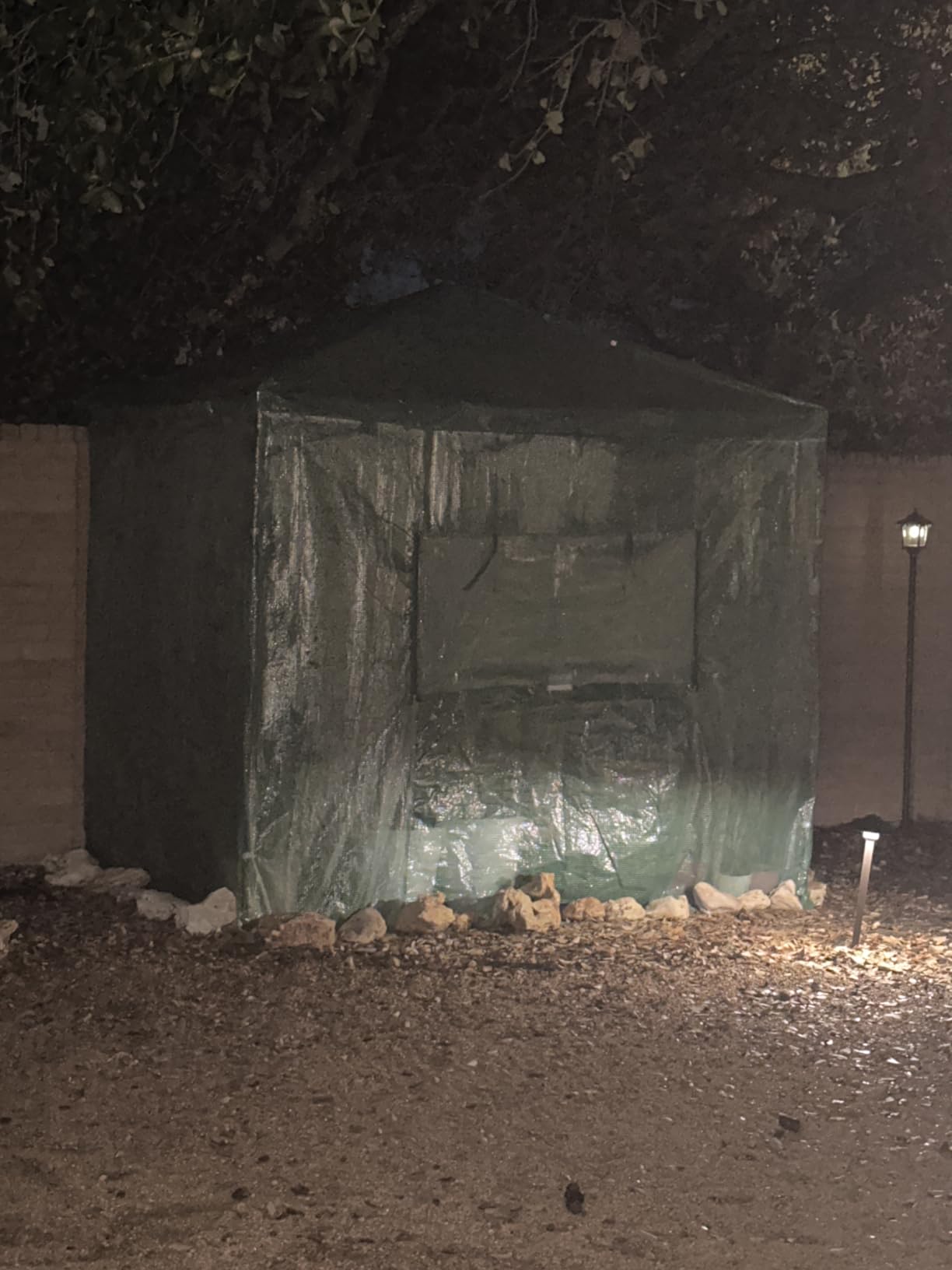 Devoko Walk-in Greenhouse, Instant Pop Up Green House for Outdoors with Zippered Door and 2 Roll-up Windows, PE Cover, Portable and Easy Assemble (Green, 8x6 Feet) customer photo 1