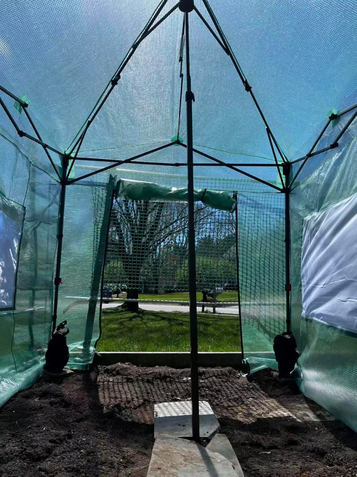 CROWN SHADES 8x6 Pop Up Greenhouse, Walk-in Greenhouse, White | Pop Up Portable, Center Lock One Push Instant, Roll-Up Door, Mesh Windows & Adjustable Height, Backyard Garden customer photo 1