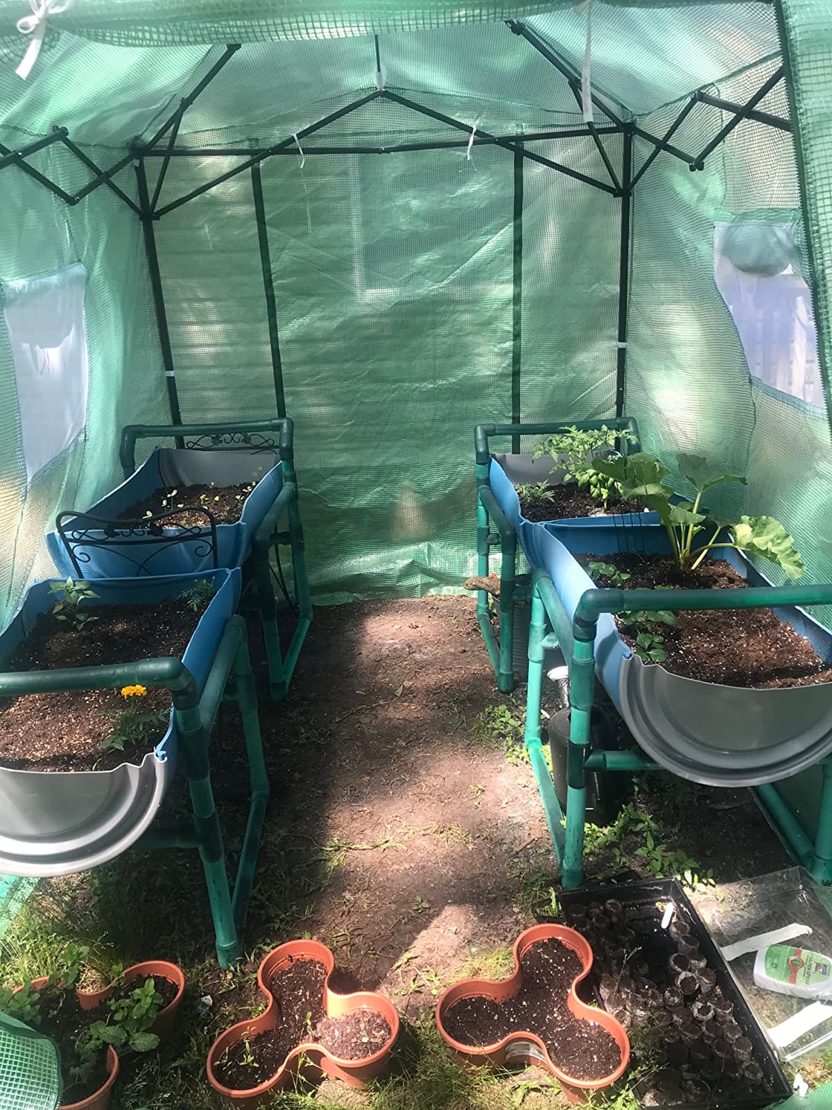 CROWN SHADES 8x6 Pop Up Greenhouse, Walk-in Greenhouse, White | Pop Up Portable, Center Lock One Push Instant, Roll-Up Door, Mesh Windows & Adjustable Height, Backyard Garden customer photo 2
