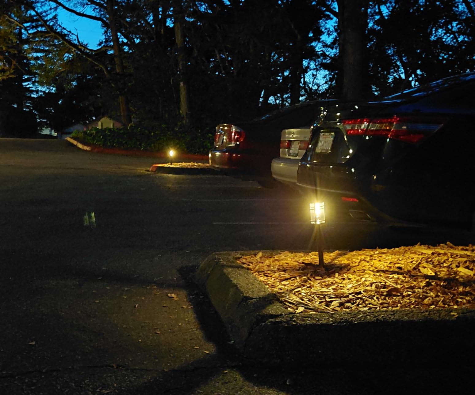 Amzarp 8 Pack Solar Garden Lights, Bright LED Solar Pathway Lights Outdoor IP65 Waterproof Rugged Shatterproof Auto On/Off for Landscape Garden Yard Walkway Driveway Lawn Lighting (3000K Warm White) customer photo 1
