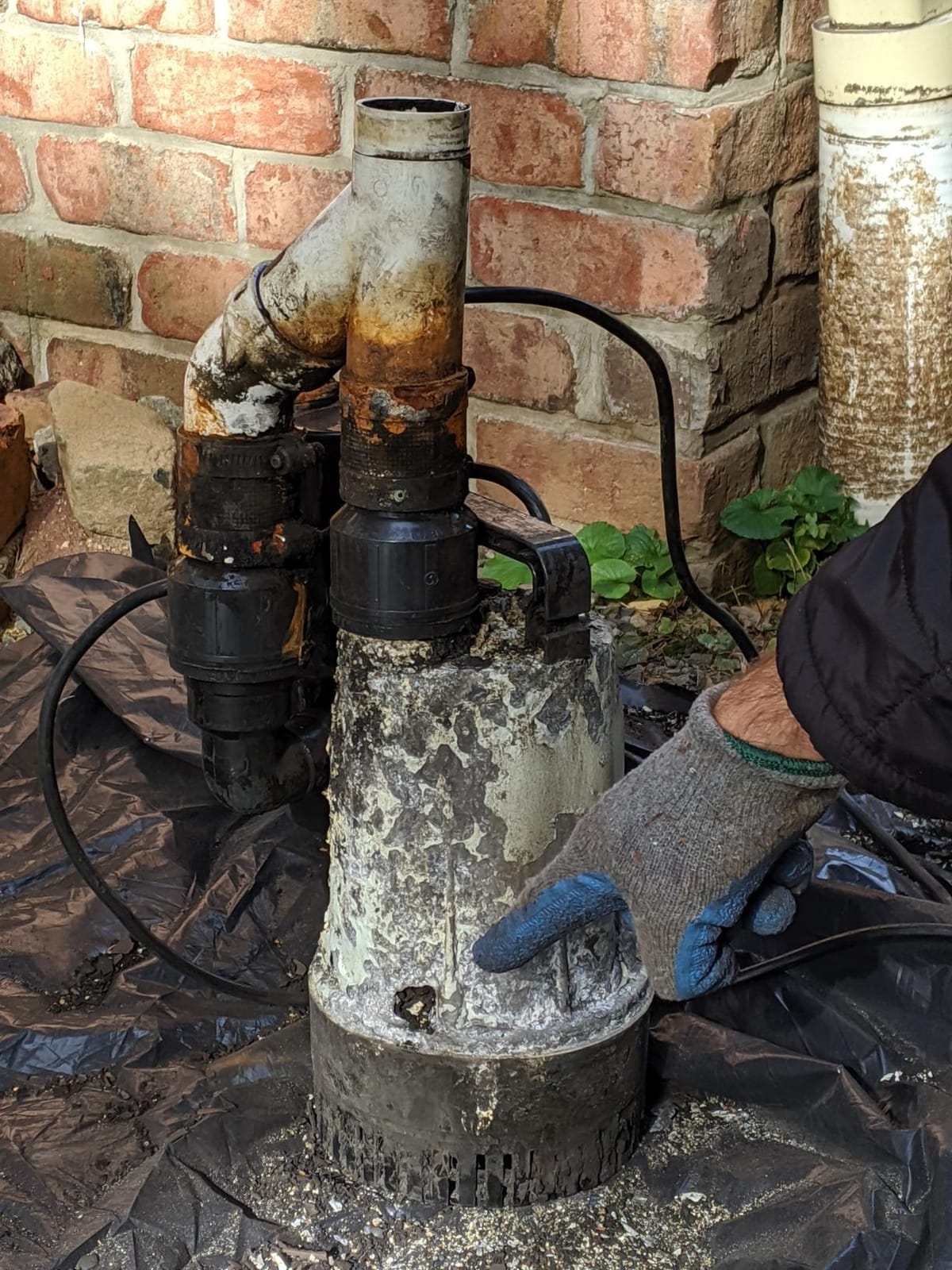 American Fluorescent Bw4000 1730 Gallons Per Hour Basement Watchdog Combination Primary and Back-Up Pump System customer photo 2