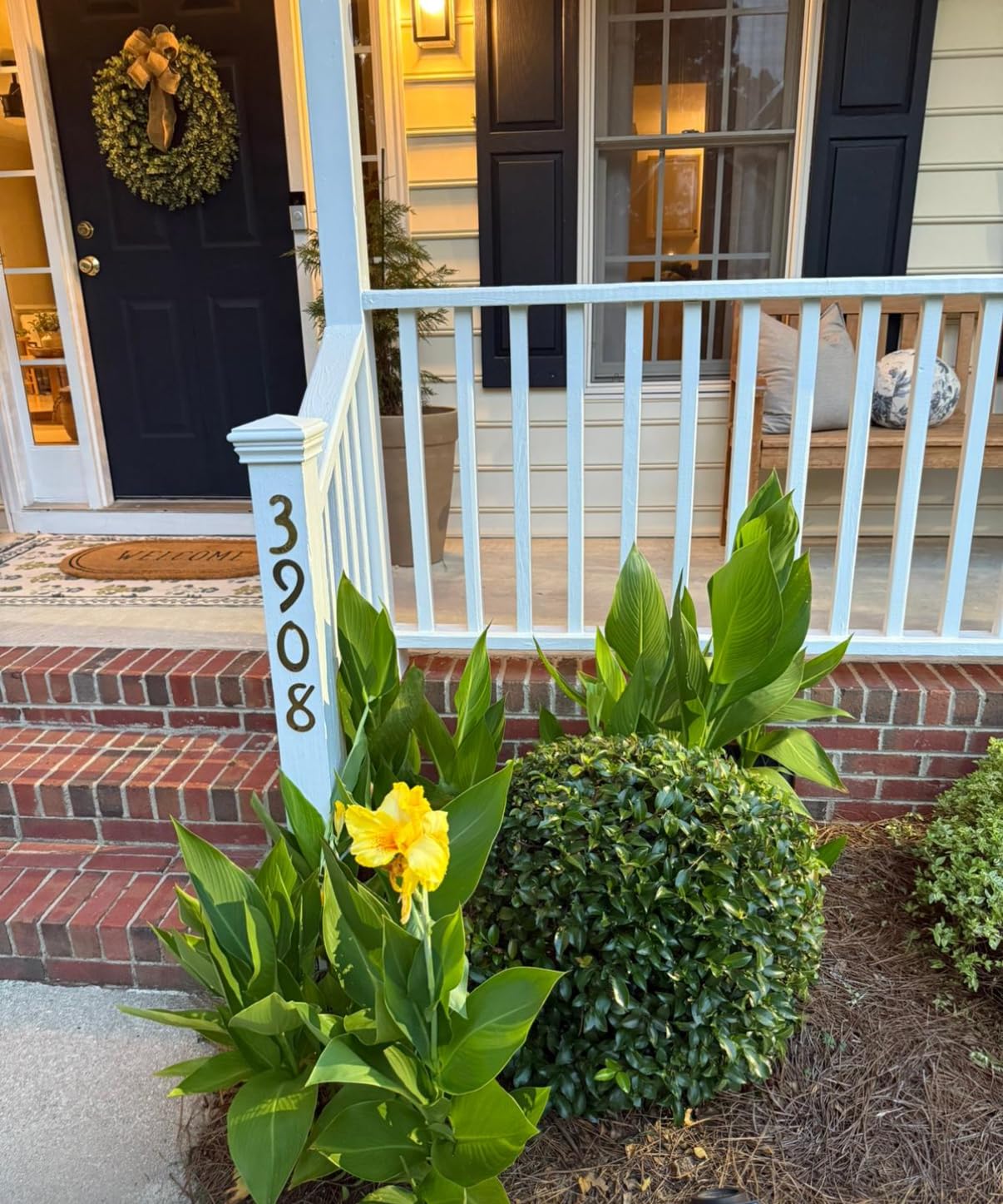 BLACK+DECKER 20V MAX Cordless Hedge Trimmer, Battery and Charger Included, 22 Inch Steel Blade Lightweight Bush Trimmer, Soft Grip, Less Vibration (LHT2220) customer photo 2