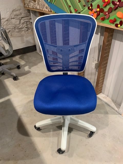 Flash Furniture Mid-Back Black Mesh Multifunction Executive Swivel Ergonomic Office Chair with Adjustable Arms customer photo 1