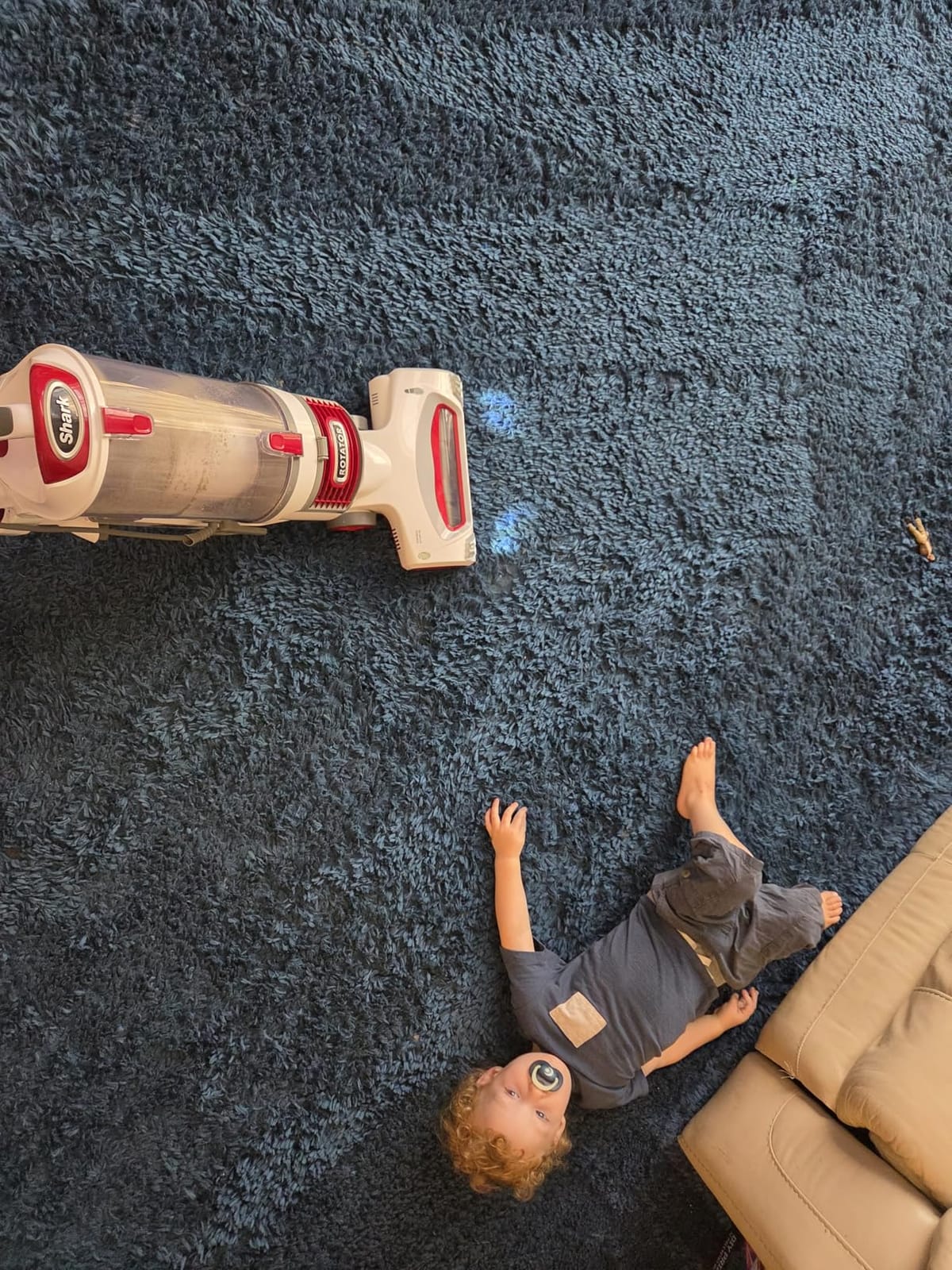 Shark Rotator Lift-Away Upright Vacuum with HEPA Filter, White/Red, NV501 customer photo 2