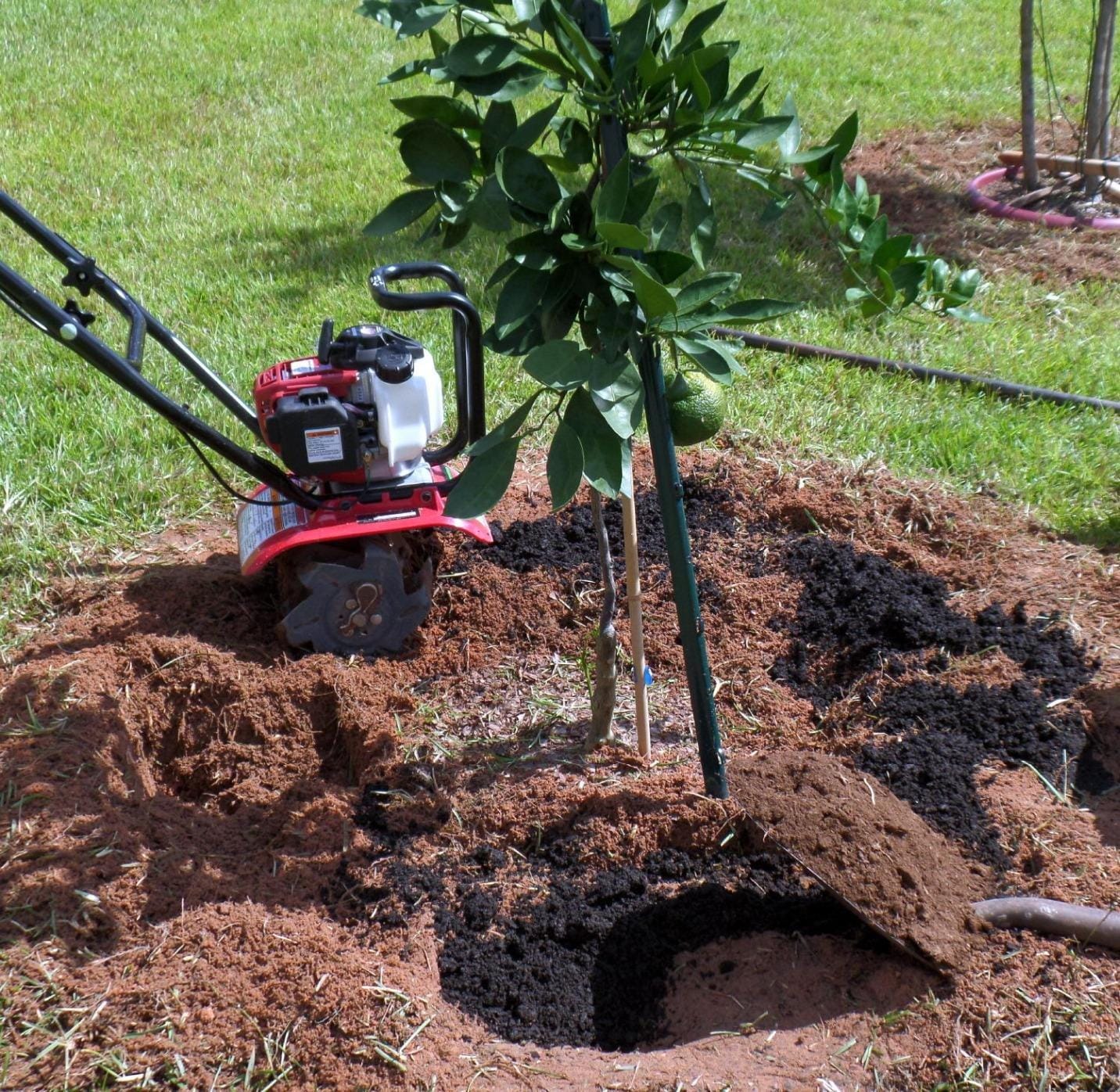 Honda FG110 Mini Tiller Cultivator (FG110KiAT) customer photo 1