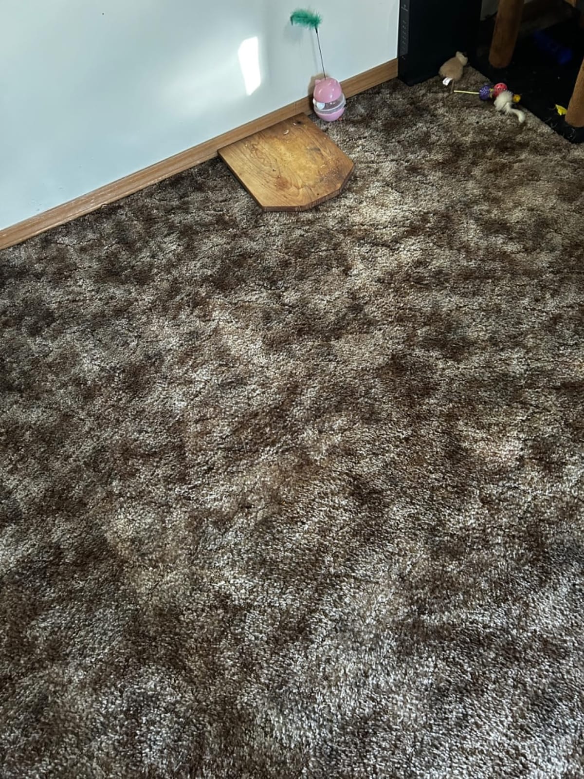 Shark Navigator Lift-Away Vacuum, HEPA, Carpet and Pet Hair, Blue, NV360 customer photo 2