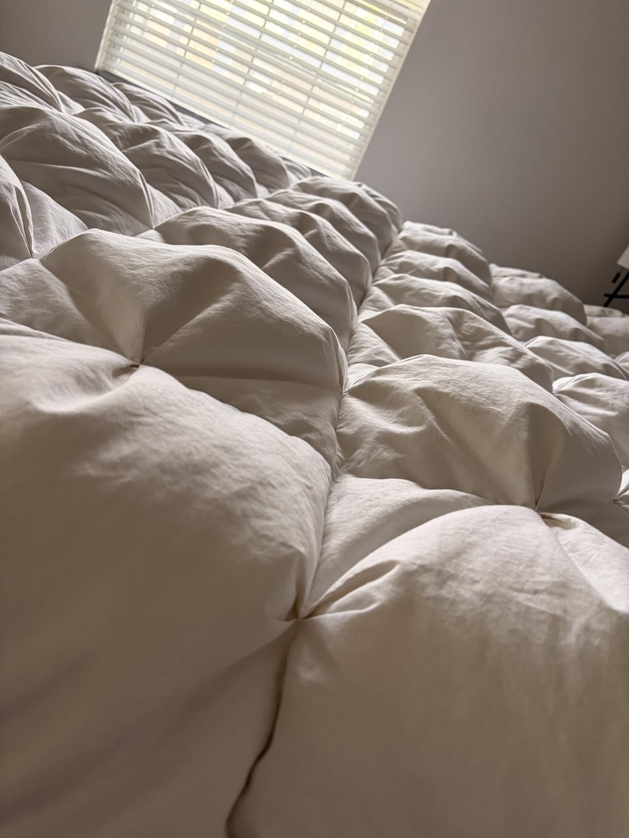 puredown® Goose Down Comforter King Size, 800 Fill Power, 100% Cotton Winter Oversized Down Duvet Insert 700 Thread Count, Heavyweight Cloud Fluffy Pinch Pleat Extra Warmth customer photo 2