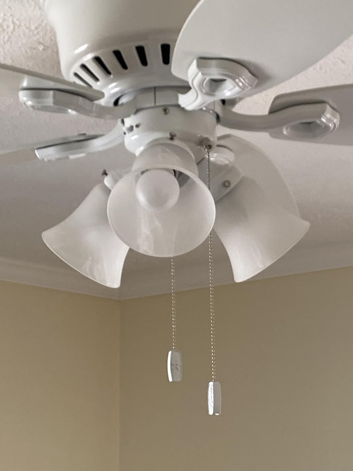 Hunter Builder, Indoor, Ceiling Fan, with LED Lights, 42 inch, Snow White customer photo 2