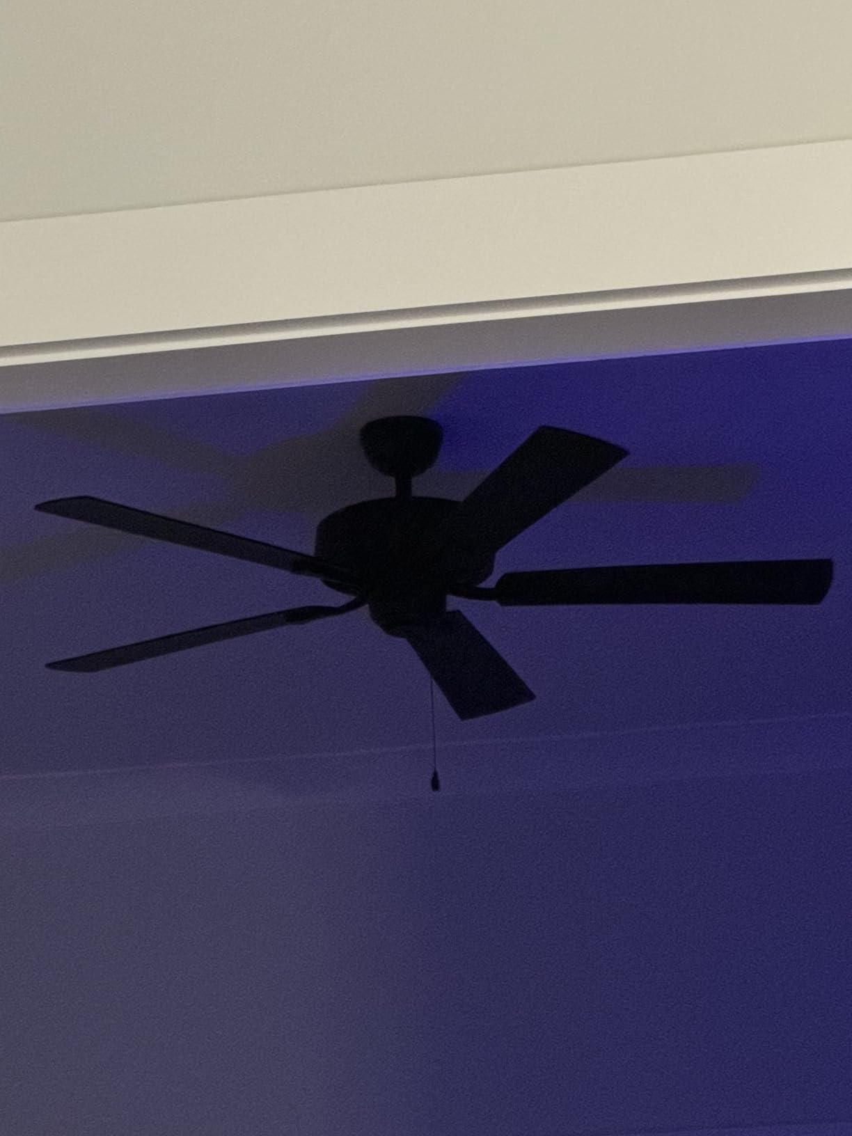 Hunter Builder Elite, Outdoor or Indoor, Ceiling Fan, 52 inch, Matte Black customer photo 1