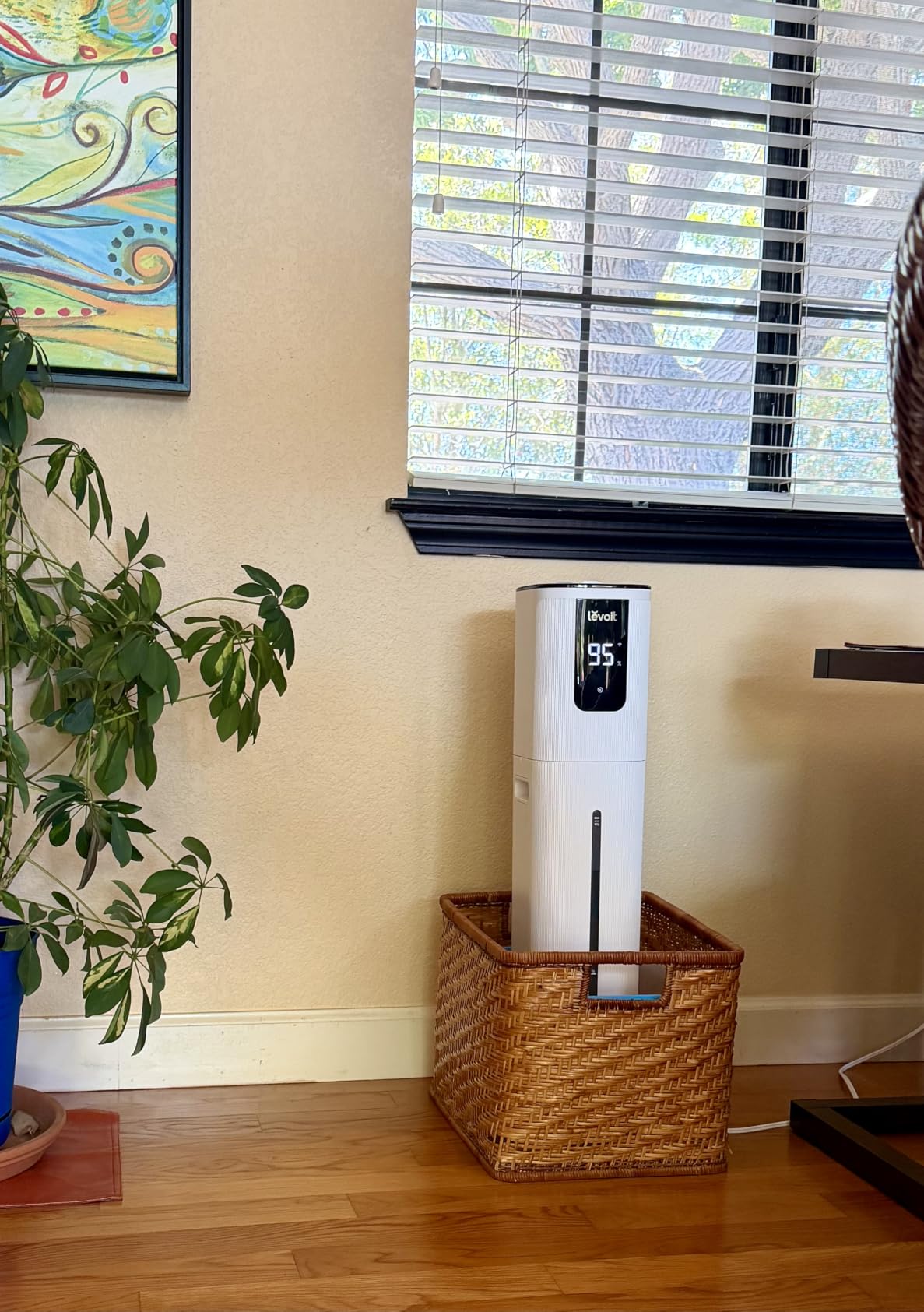 Levoit Humidifiers for Bedroom Large Room Home, Warm and Cool Mist, White customer photo 2