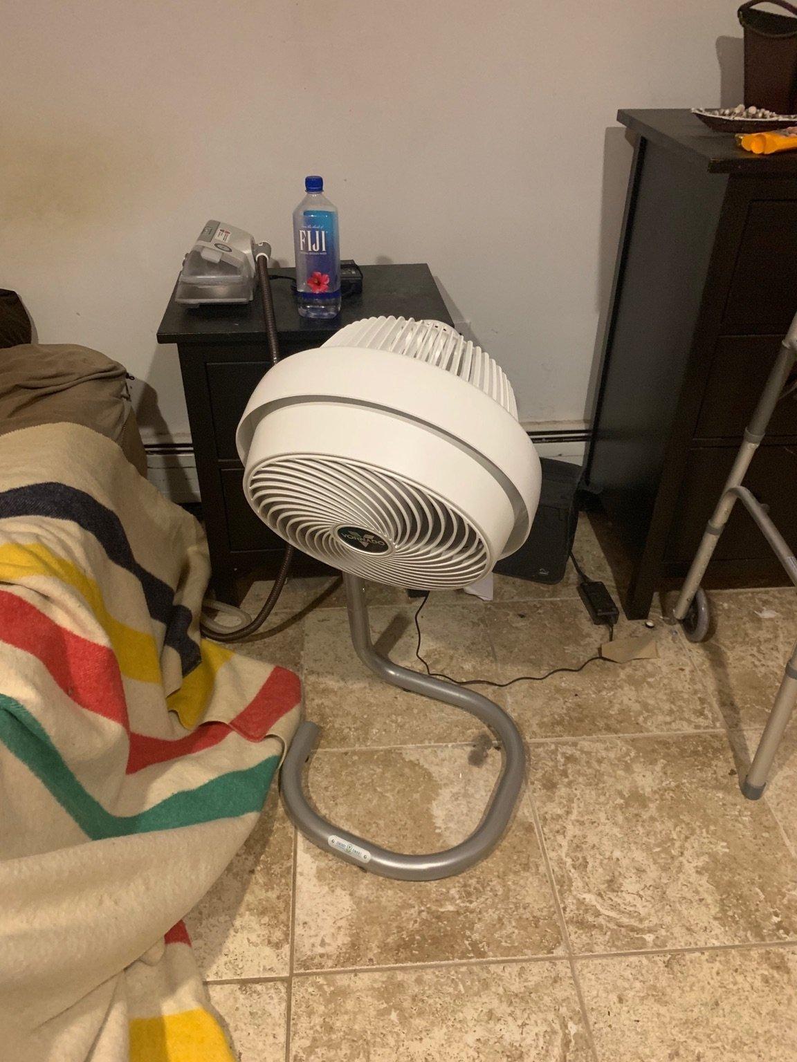 Vornado 783DC Energy Smart Full-Size Air Circulator Fan with Variable Speed Control and Adjustable Height customer photo 2