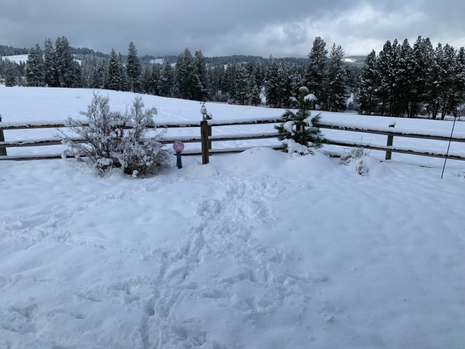 AcuRite Iris (5-in-1) Wireless Indoor/Outdoor Weather Station with Remote Monitoring Alerts for Weather Conditions (01536M) customer photo 2