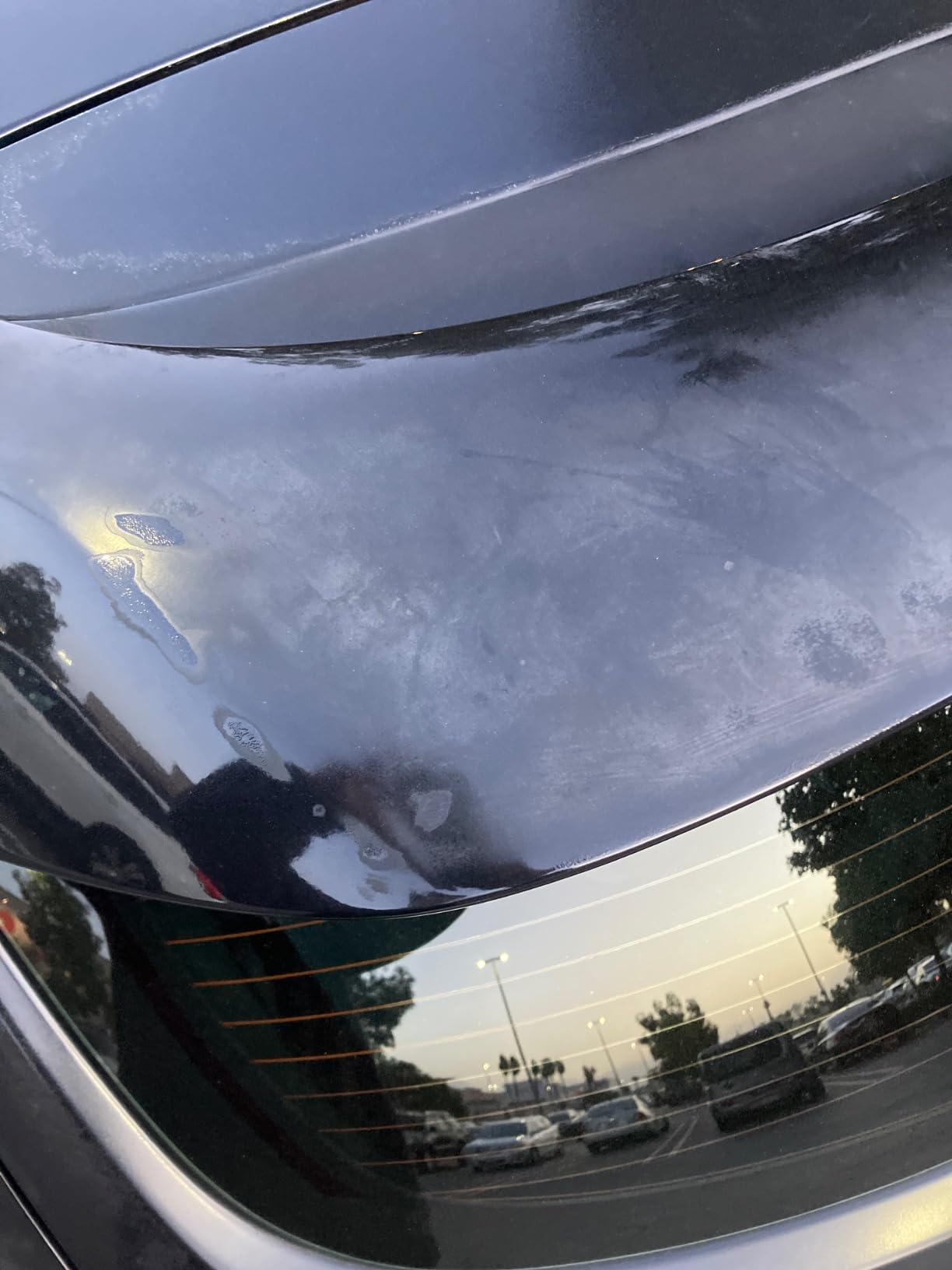 Turtle Wax 52708 Color Magic Car Paintwork Polish Restores Colour & Shine Black 500ml customer photo 1