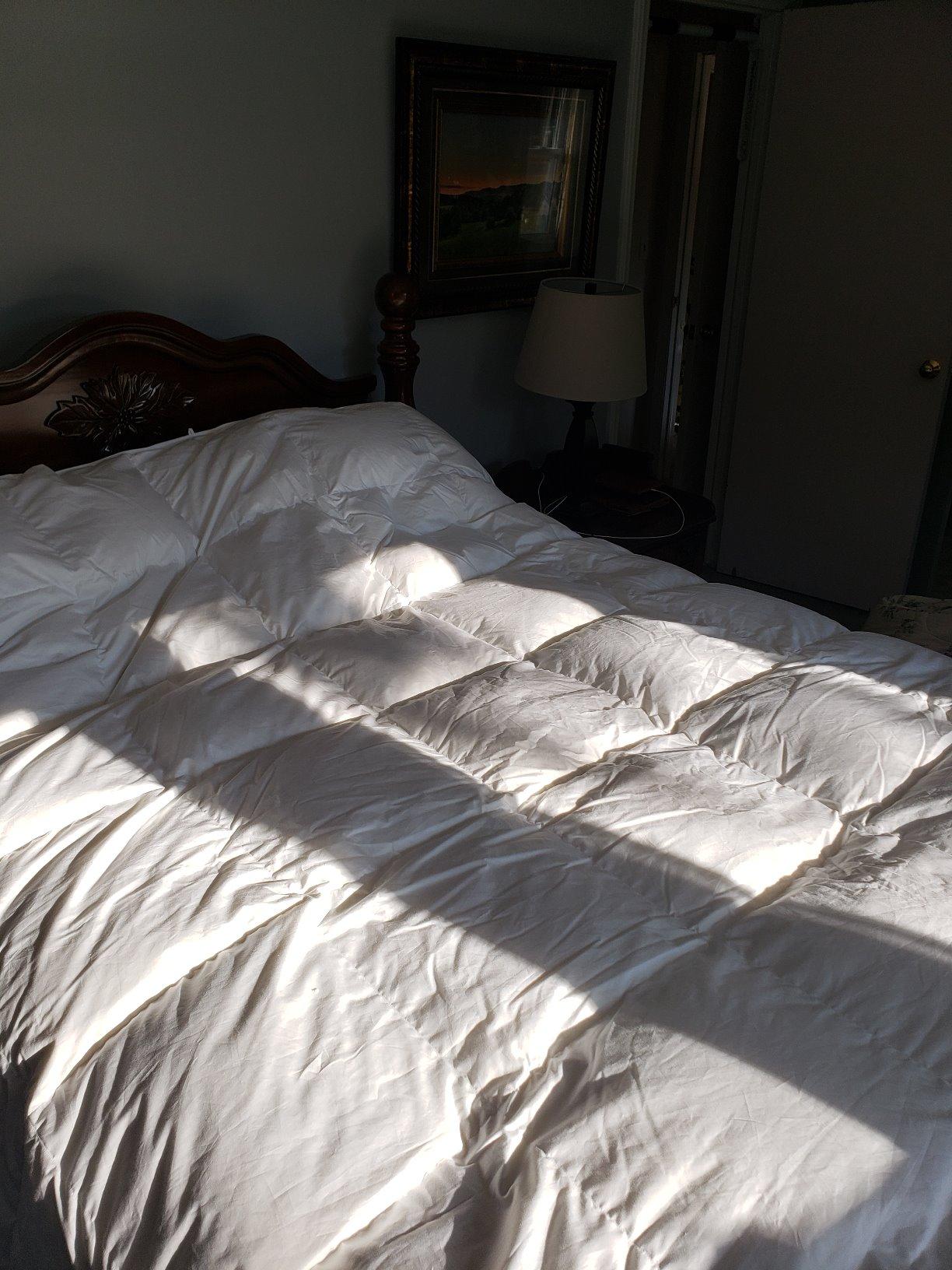 Globon Winter Goose Down Comforter King Size,800 Fill Power Duvet Insert customer photo 2